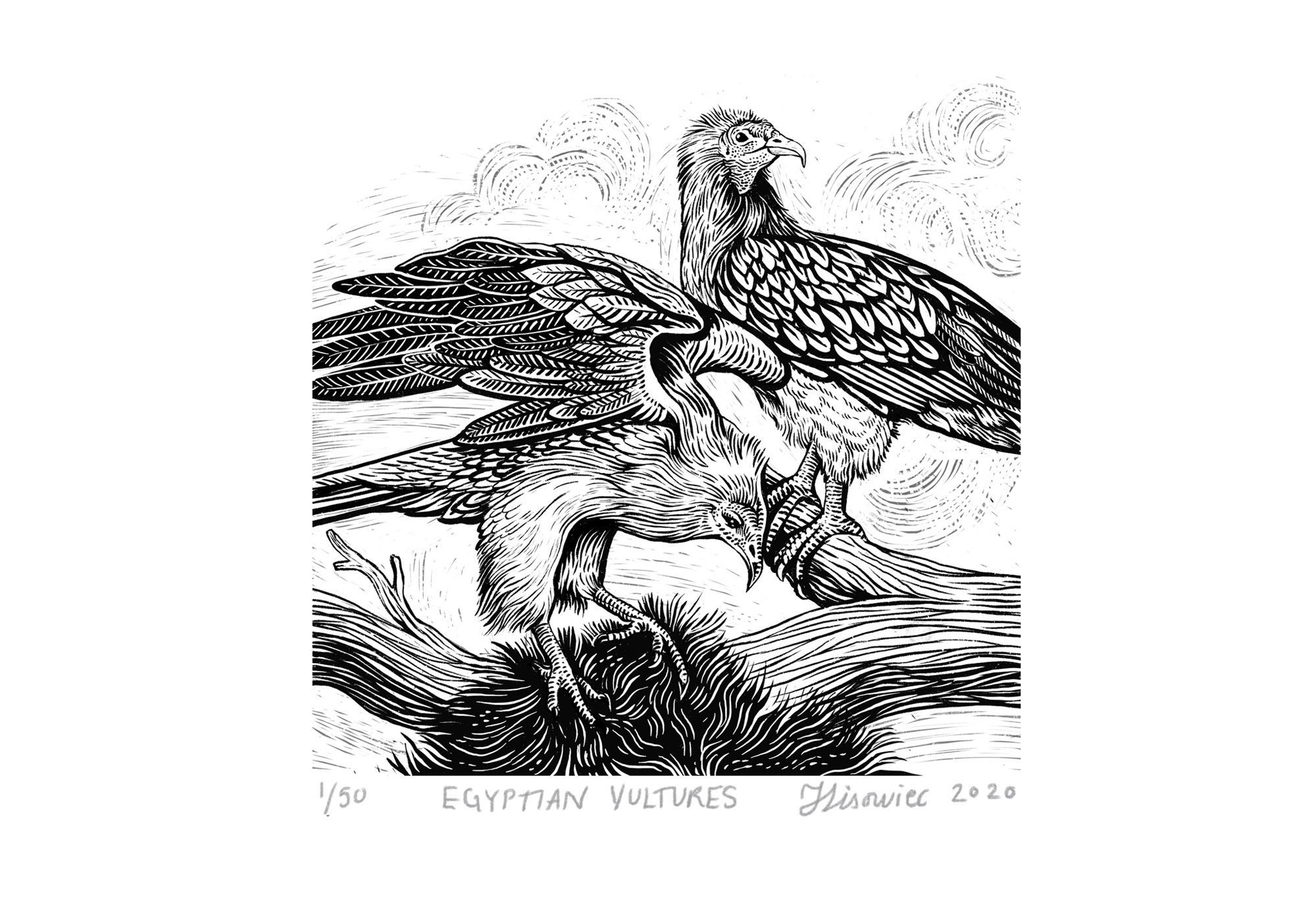 https://i.etsystatic.com/7206041/r/il/fbd736/2221615687/il_fullxfull.2221615687_8i0w.jpg
