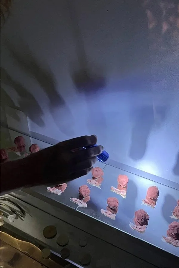 ARTIFACT+GIF+cue.jpg