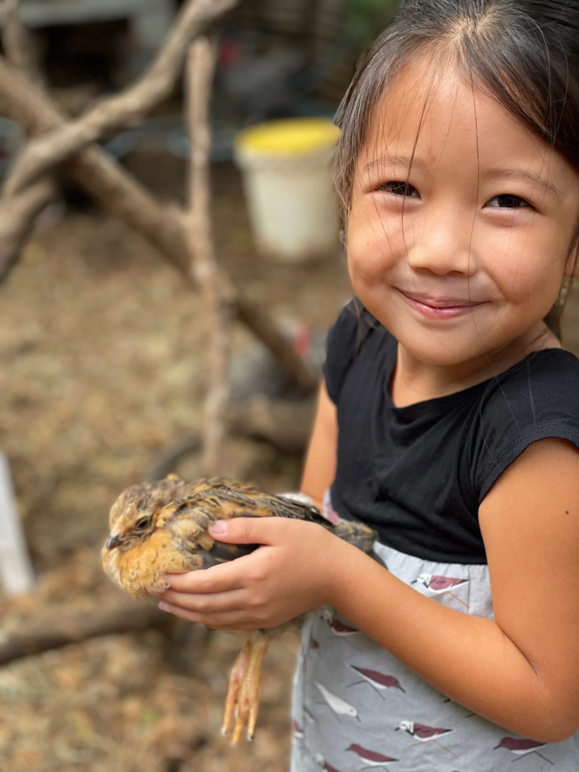 Keiki &amp; Plow - Playground For Kids