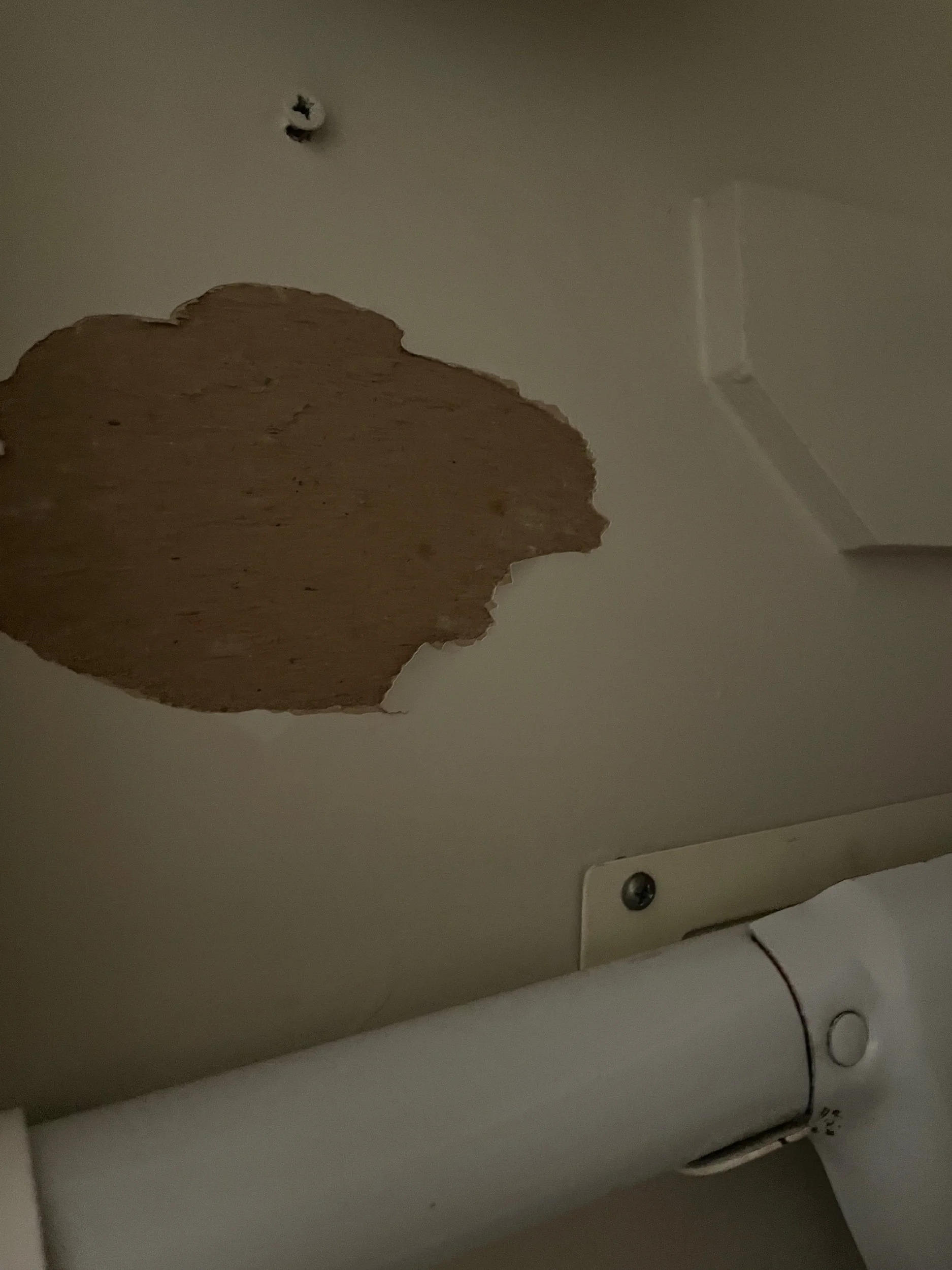 Can't Hide Authentic Quality