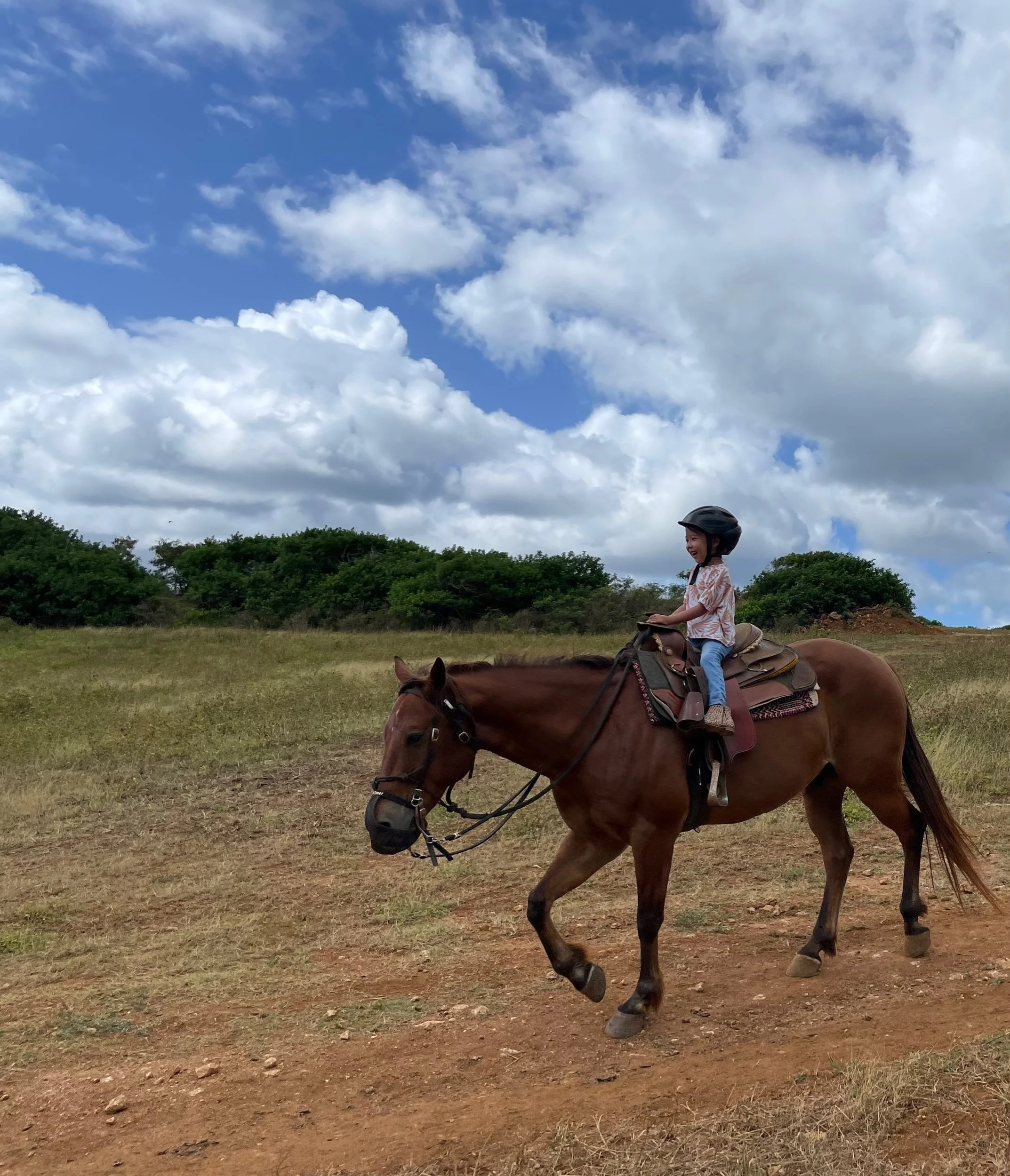 Gunstock Ranch - Horseback For Kids