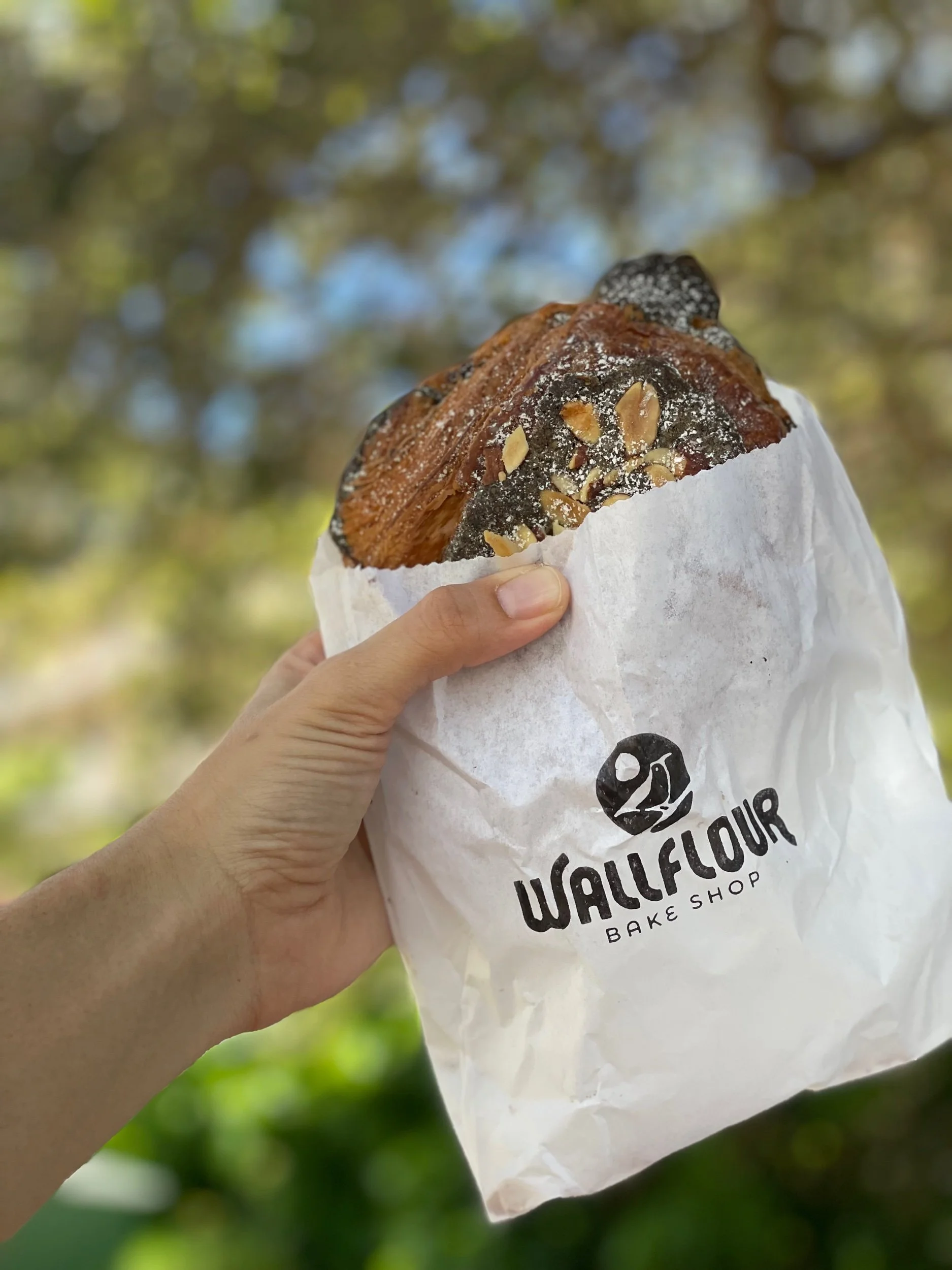 Saturday’s Ward Farmer’s Market