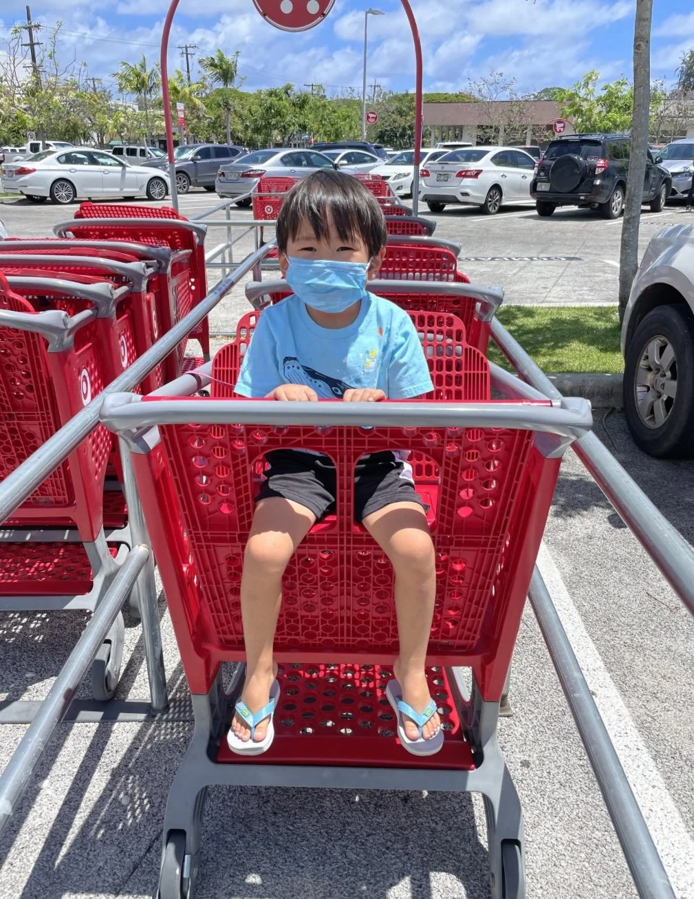 Target Shopping