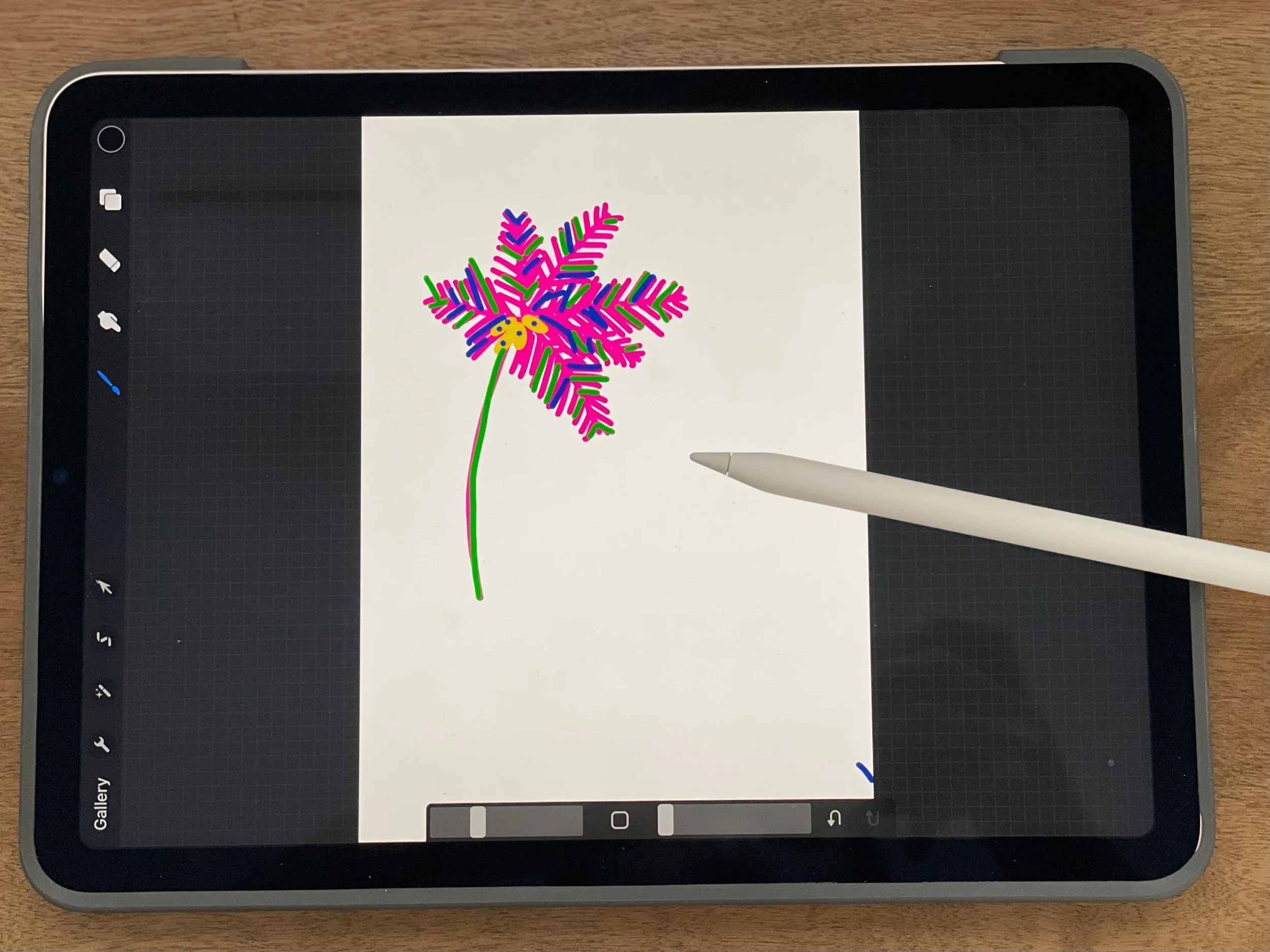 Procreate &amp; Adobe Illustrator