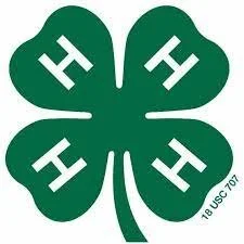 What I Learned In 4-H