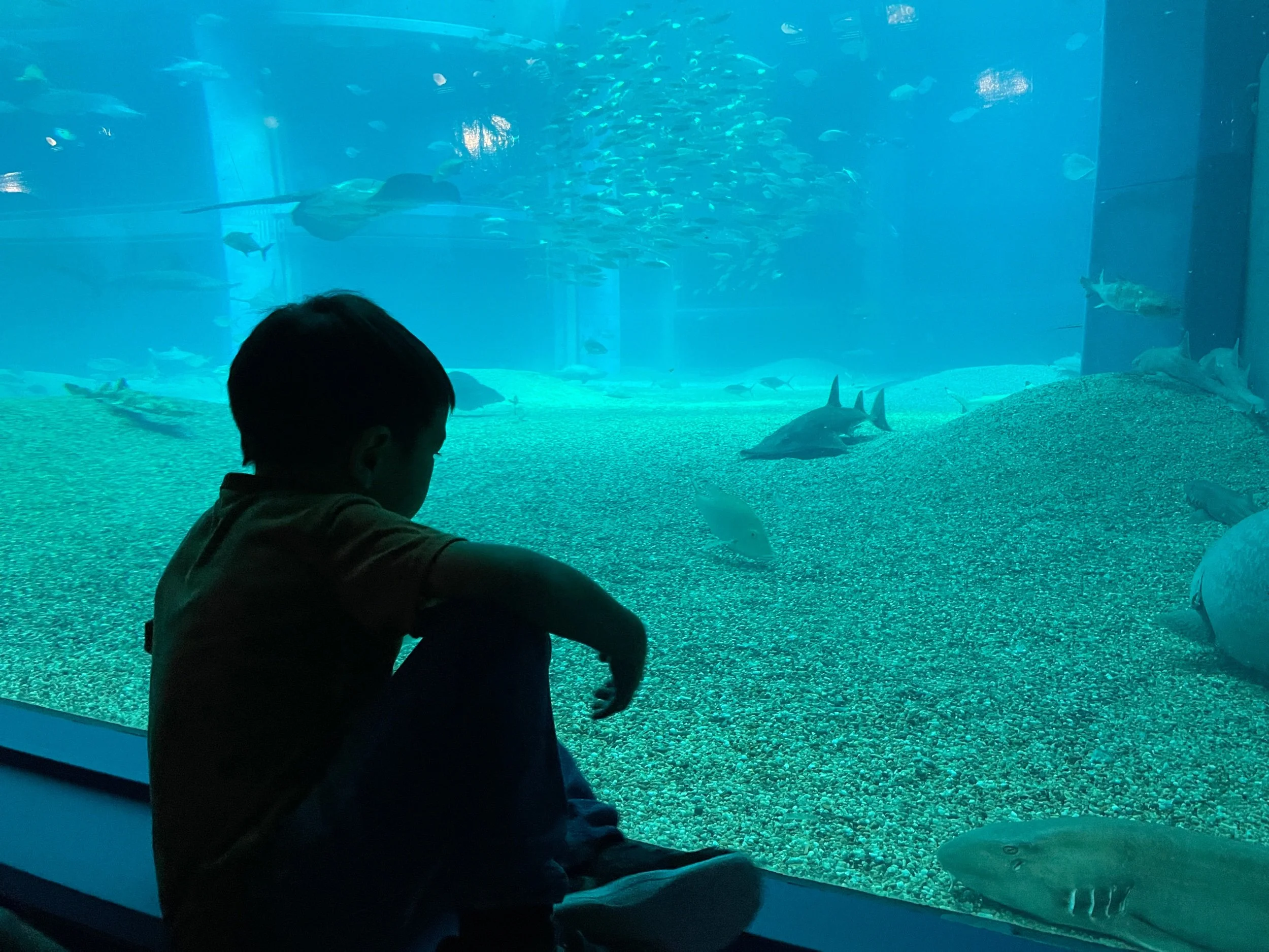 Kaiyukan Osaka Aquarium