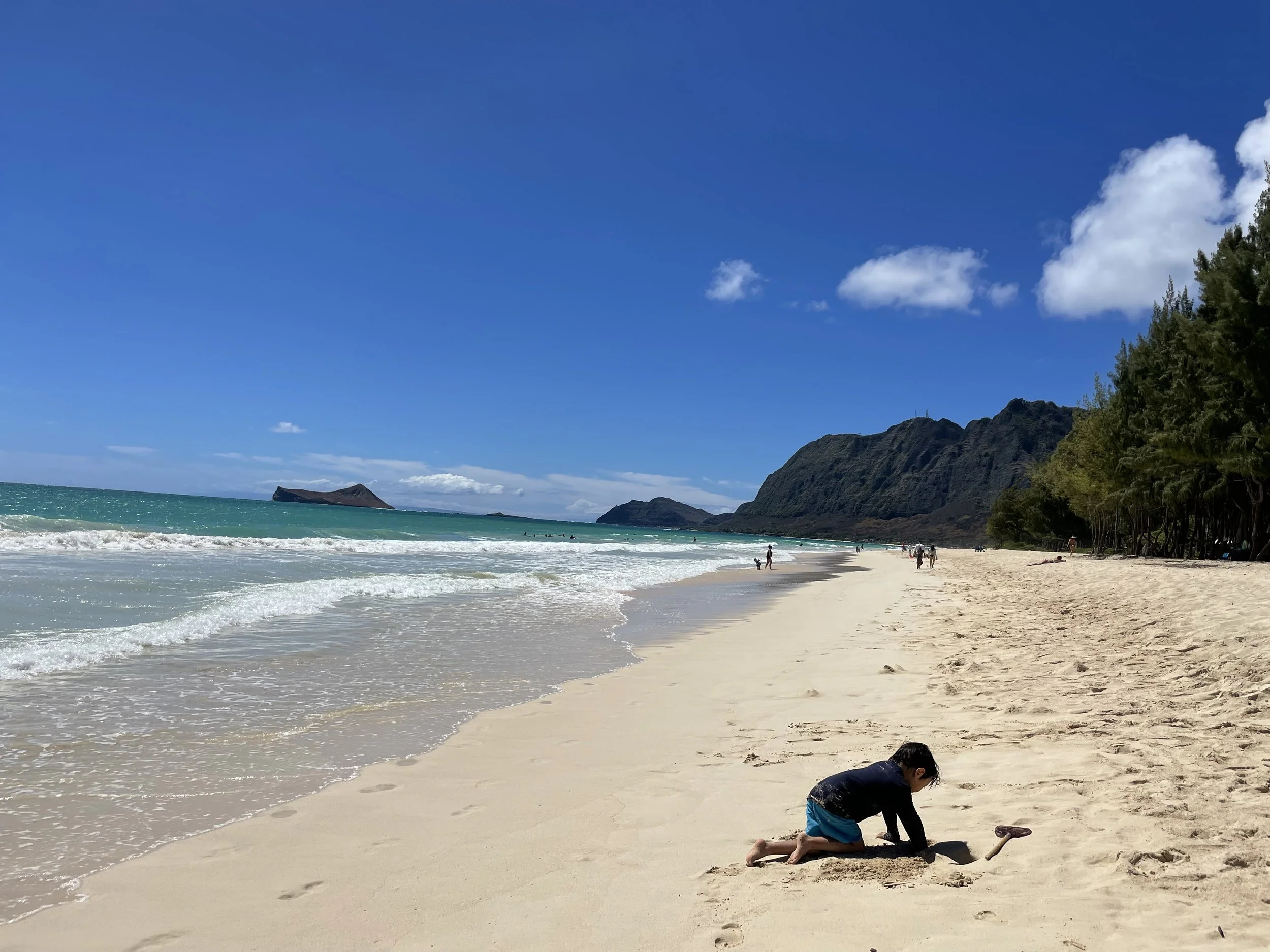 Sand Castles