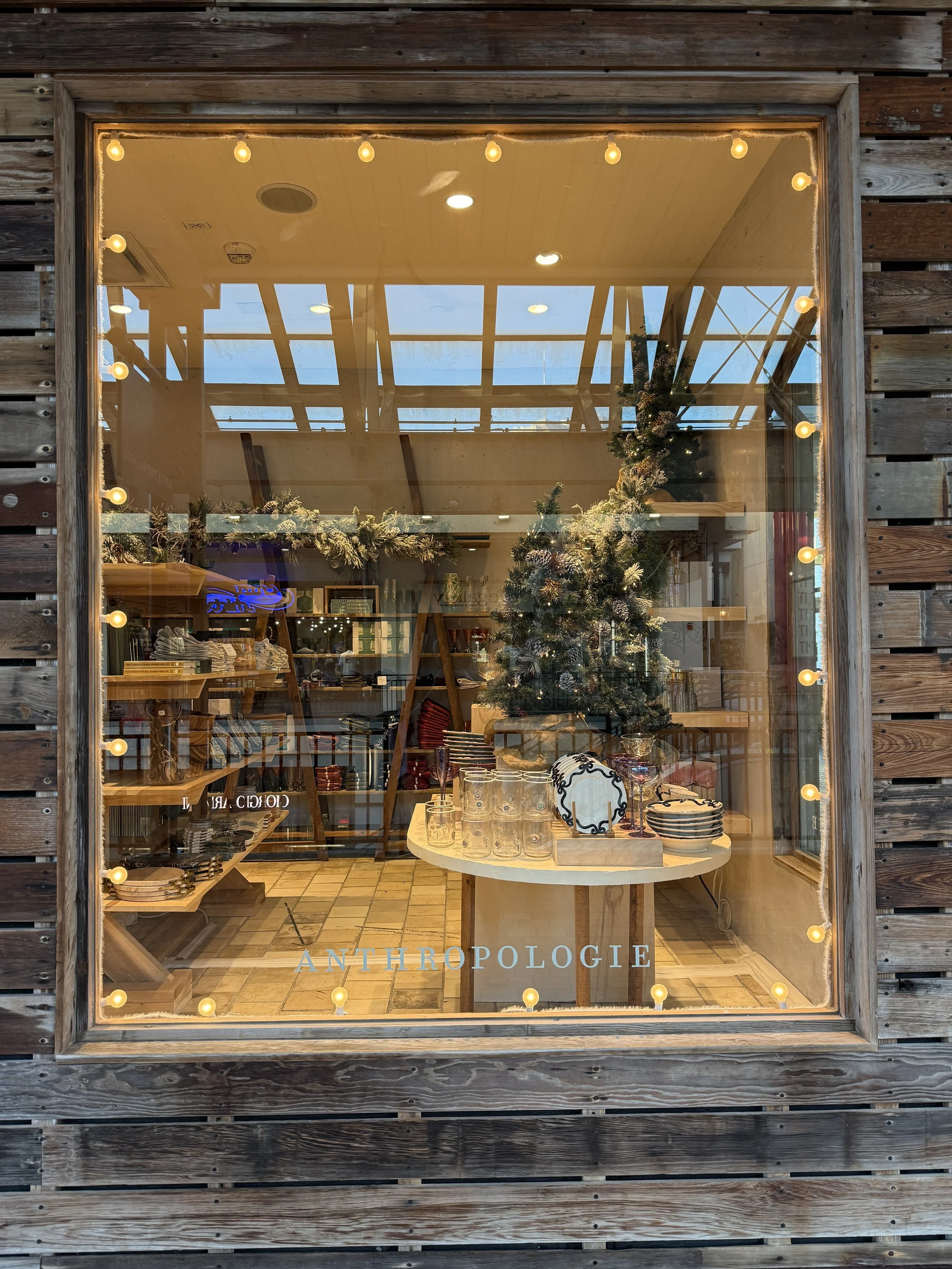 Holiday Window Shopping