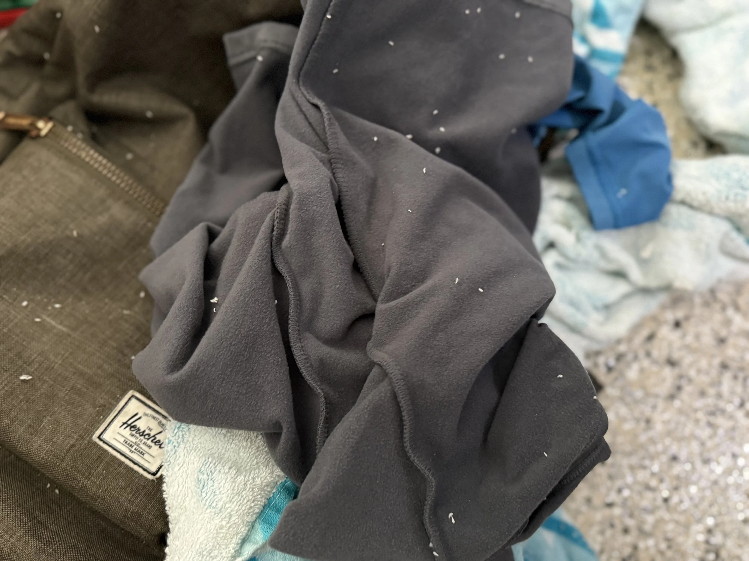 Laundry Lint