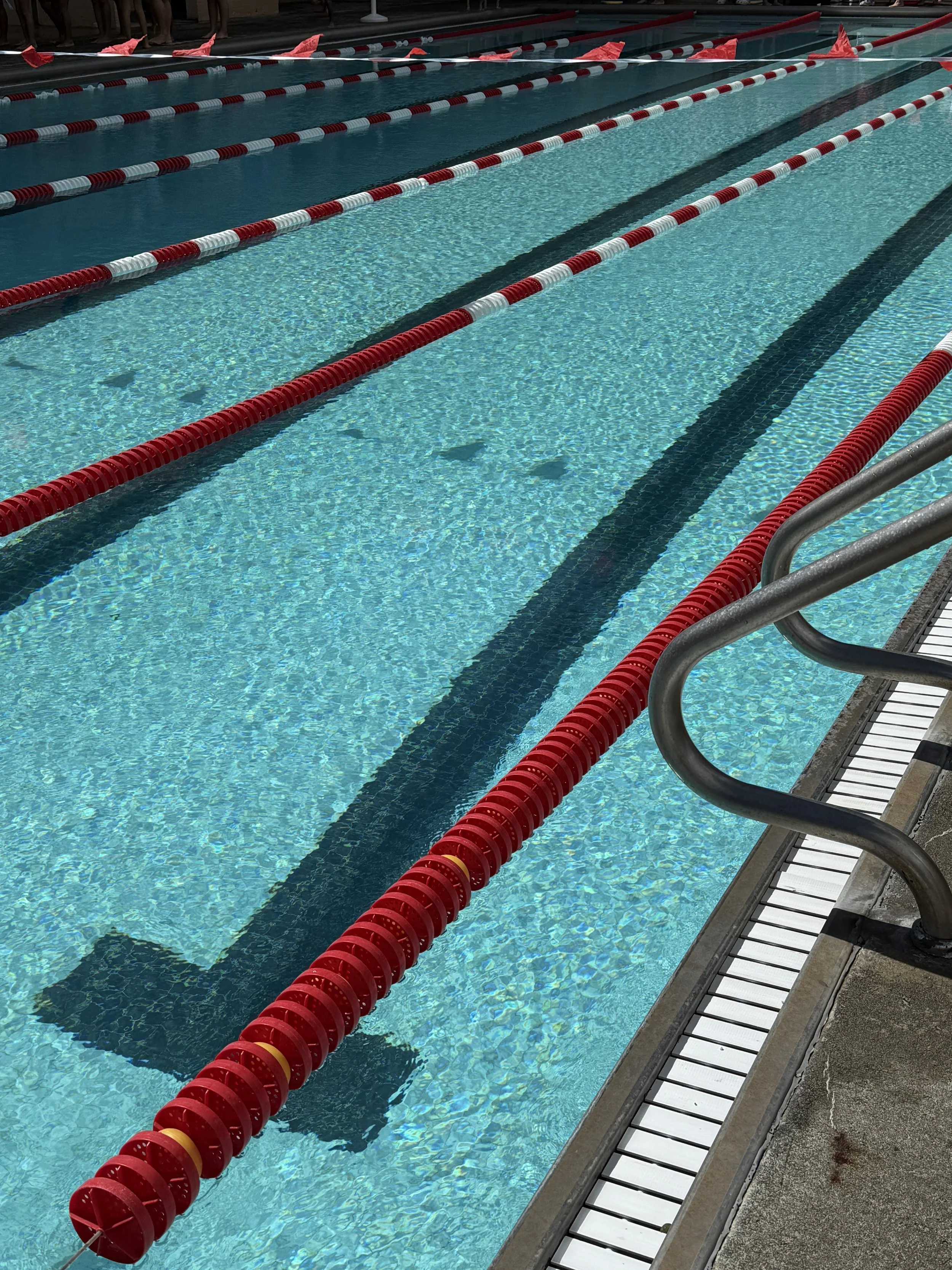 Diving In