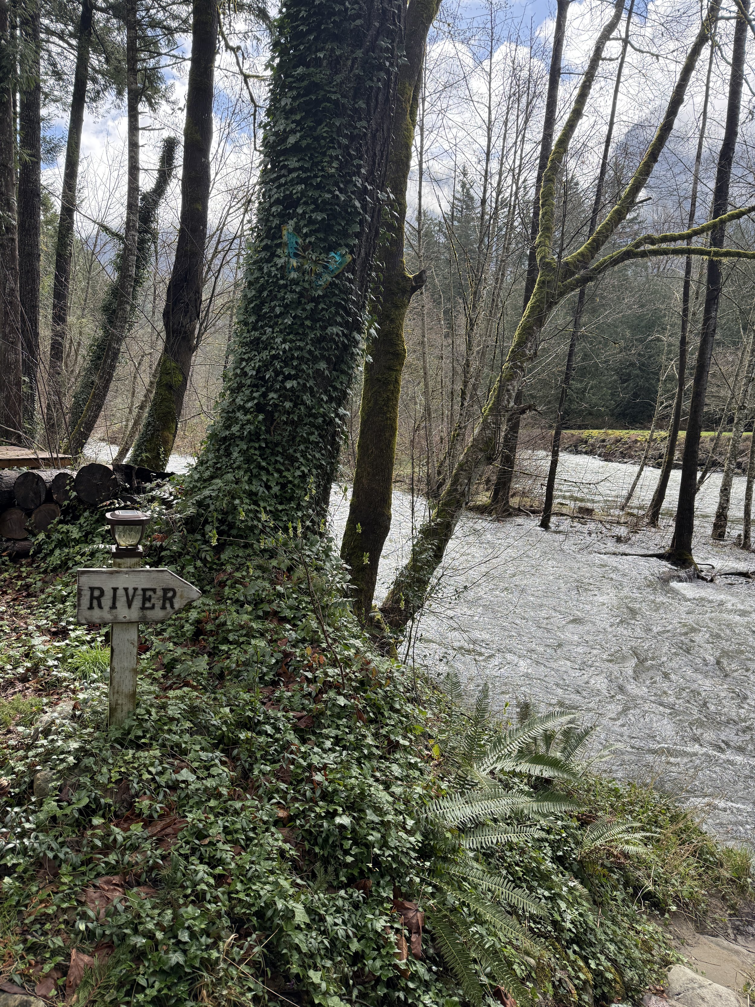 No WiFi by the River