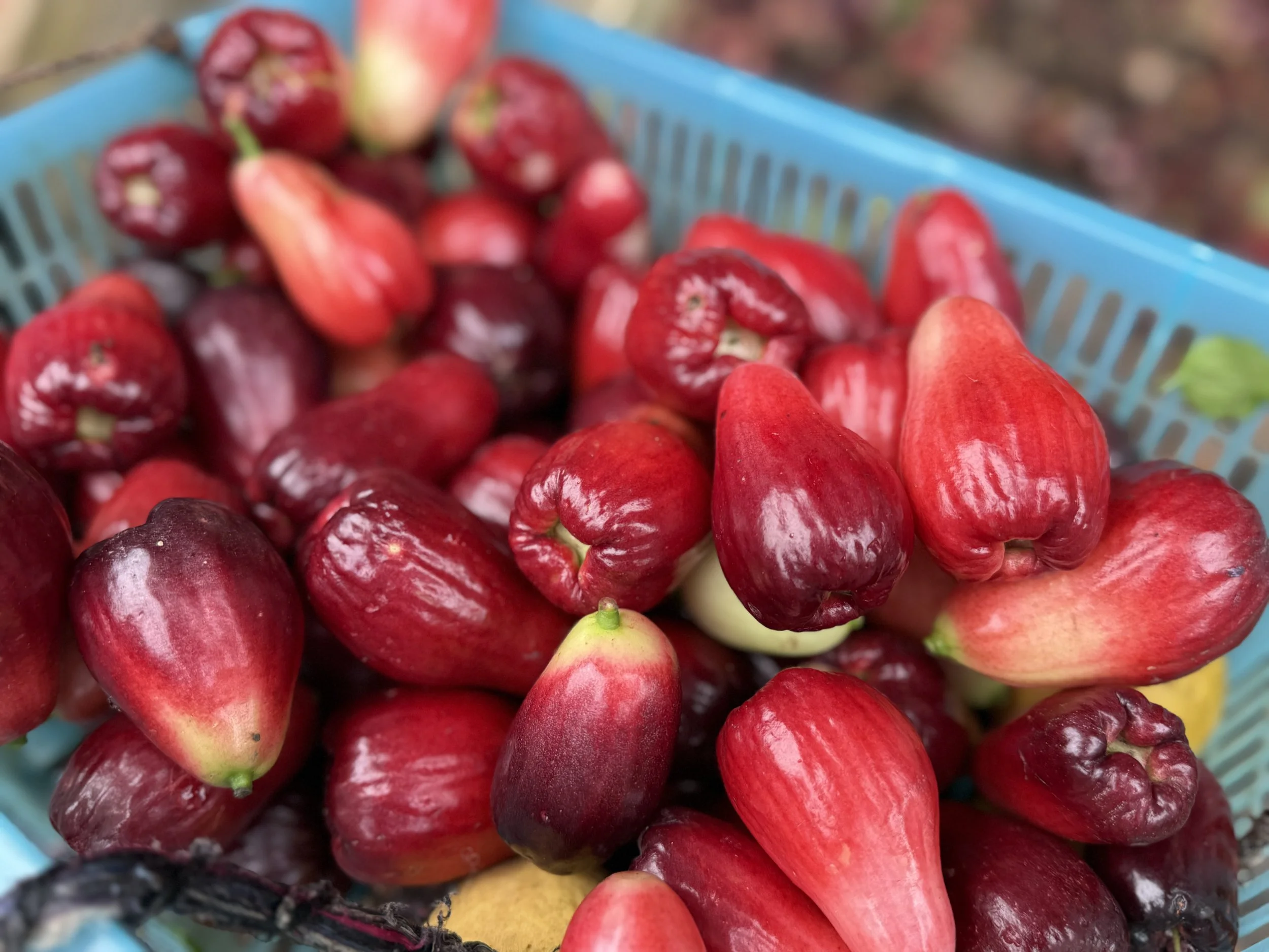 Hawai`i Farm Fruits