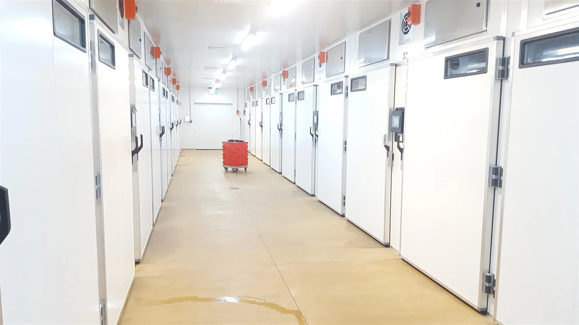 Bromley Park Hatchery 5.jpg