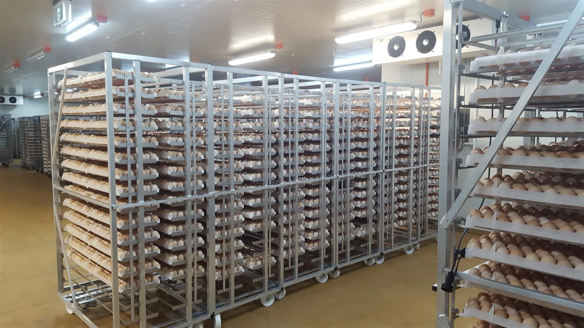 Bromley Park Hatchery 3.jpg