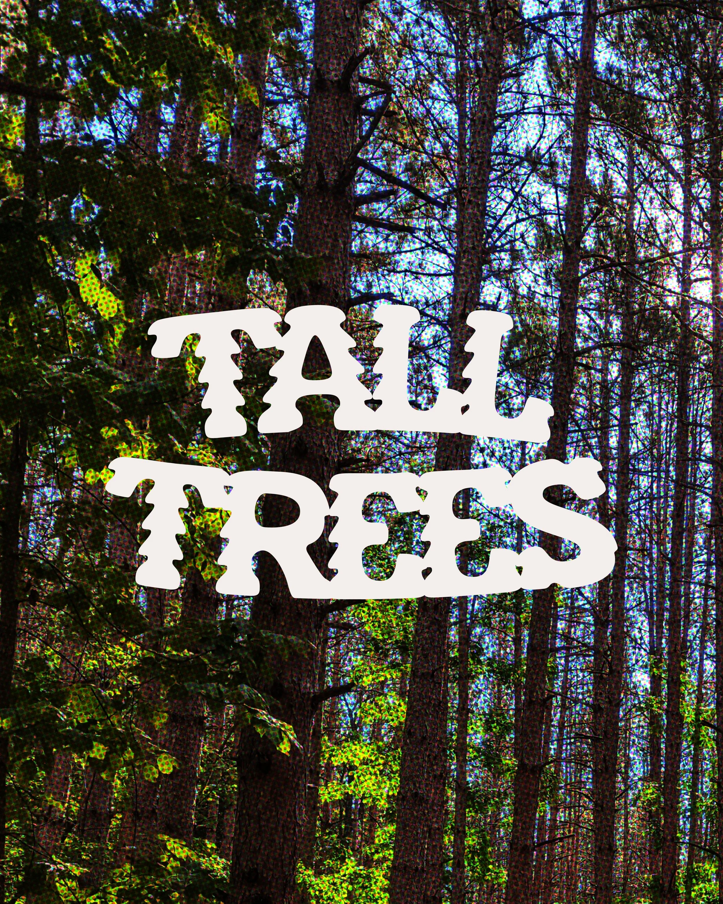 TALLTREES-POST-02.jpg