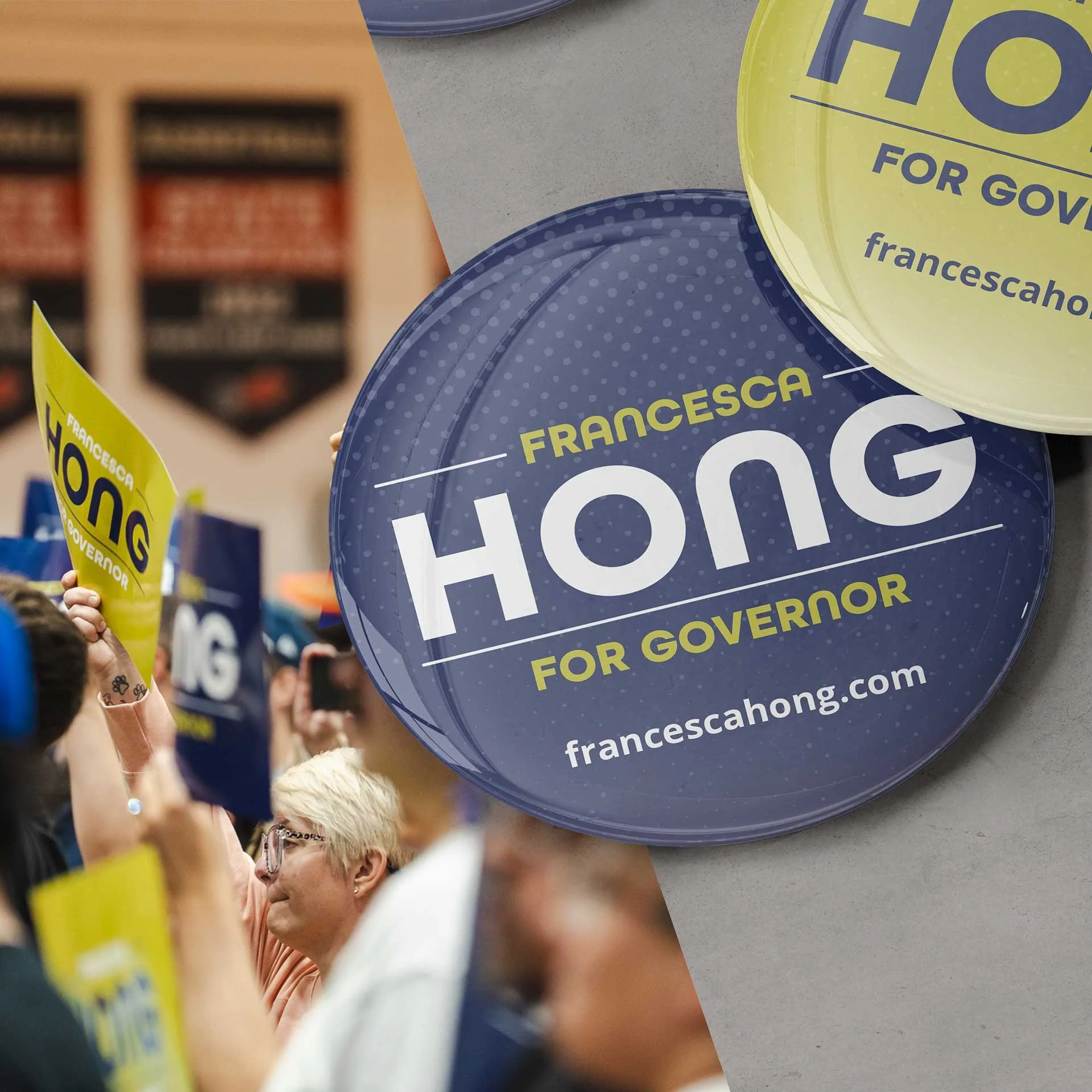 Francesca Hong For Governor - Art That Inspires