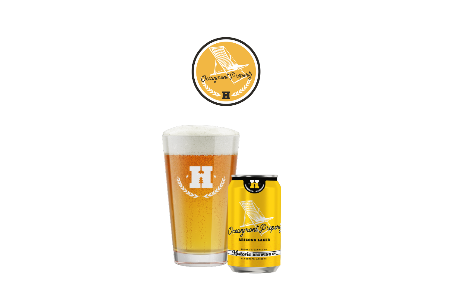 Simple Seasoned Grilled Fish - Oceanfront Property Beer Pairing