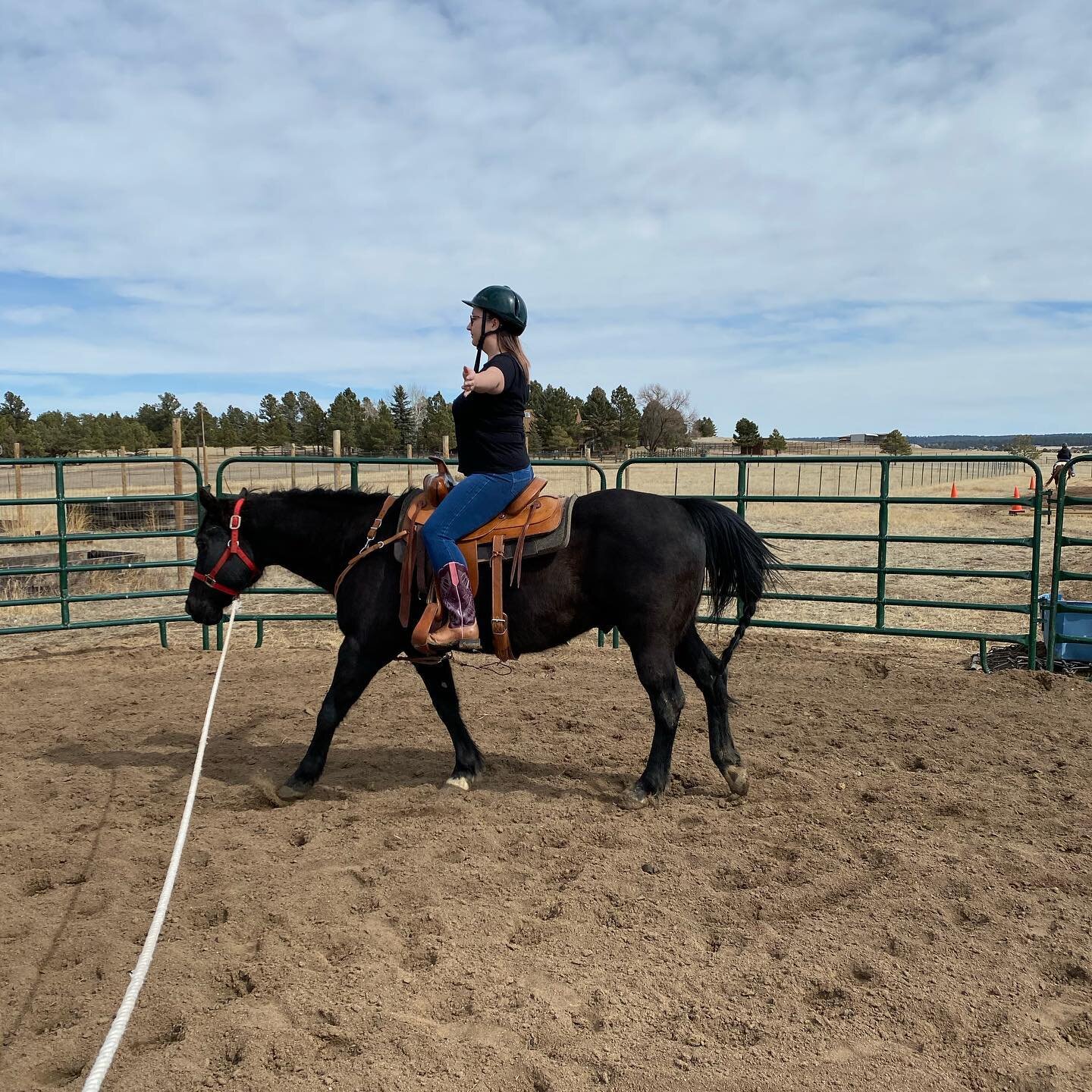 Great weekend for lessons and horse love!! #jdridingschool #horselove #horsebackriding