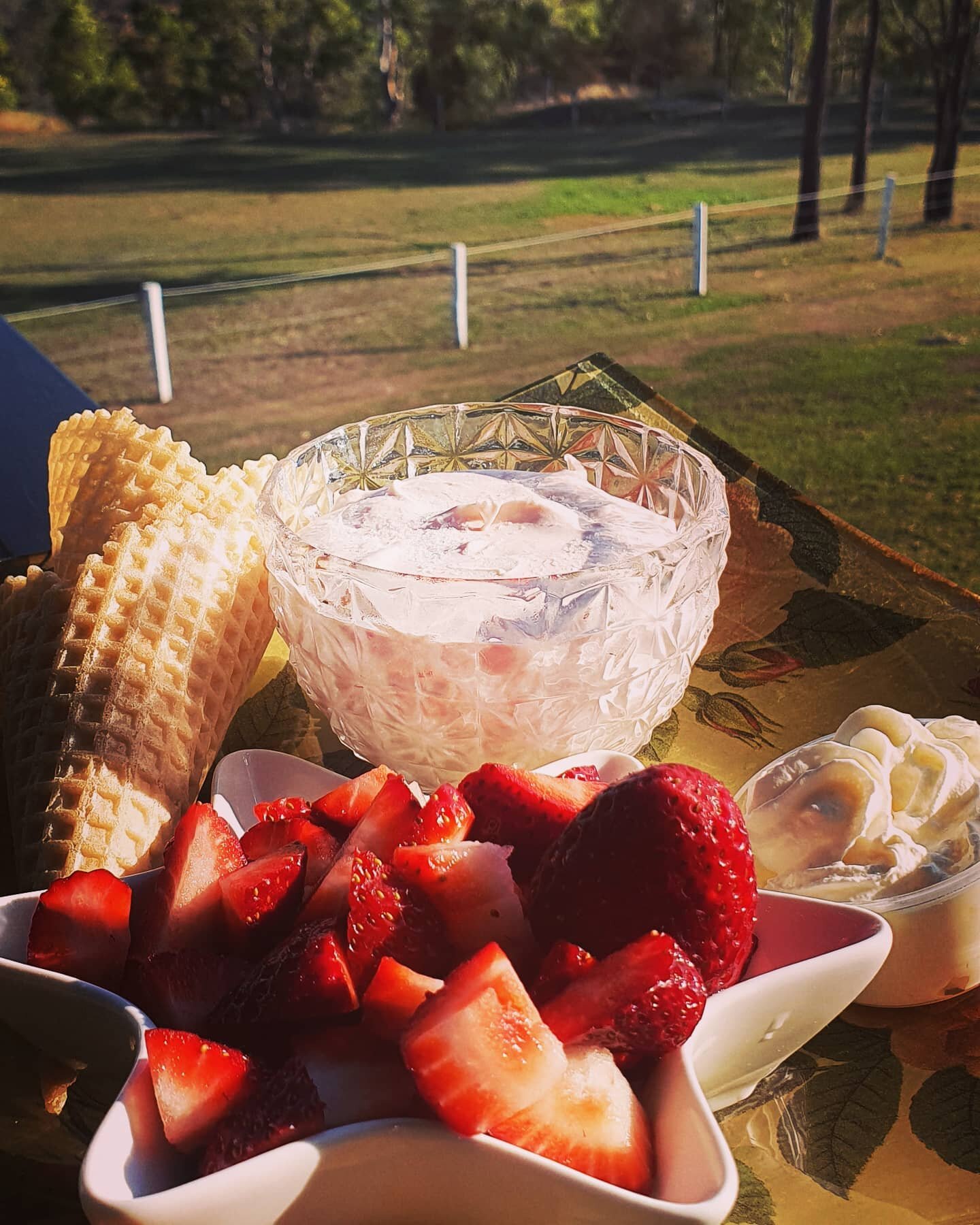 Ekka Day Icecream cones for our Cottage Guests. #homemadeicecream #Rosellaflavour #lovestrawberries 
#citycomestothecountry #sunshine