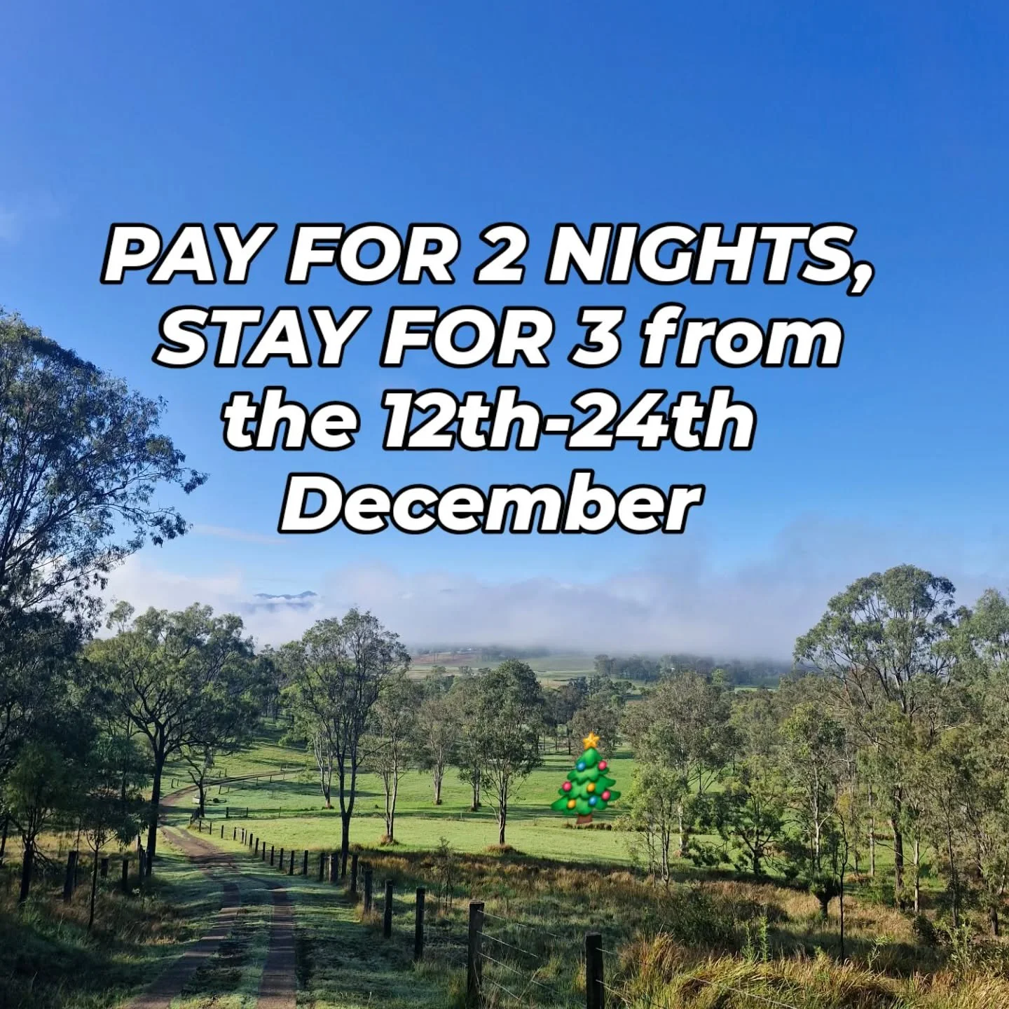 Vanbery Cottage &amp; Vanbery Chapel are offering Pay for 2, Stay for 3 nights deal from 12th - 24th December. 12 days before Christmas!
No holiday fees. 🦌🎄🎁 Thanks to our followers. 
Contact direct on stay@vanberycottage.com.au 
www.vanberycottag