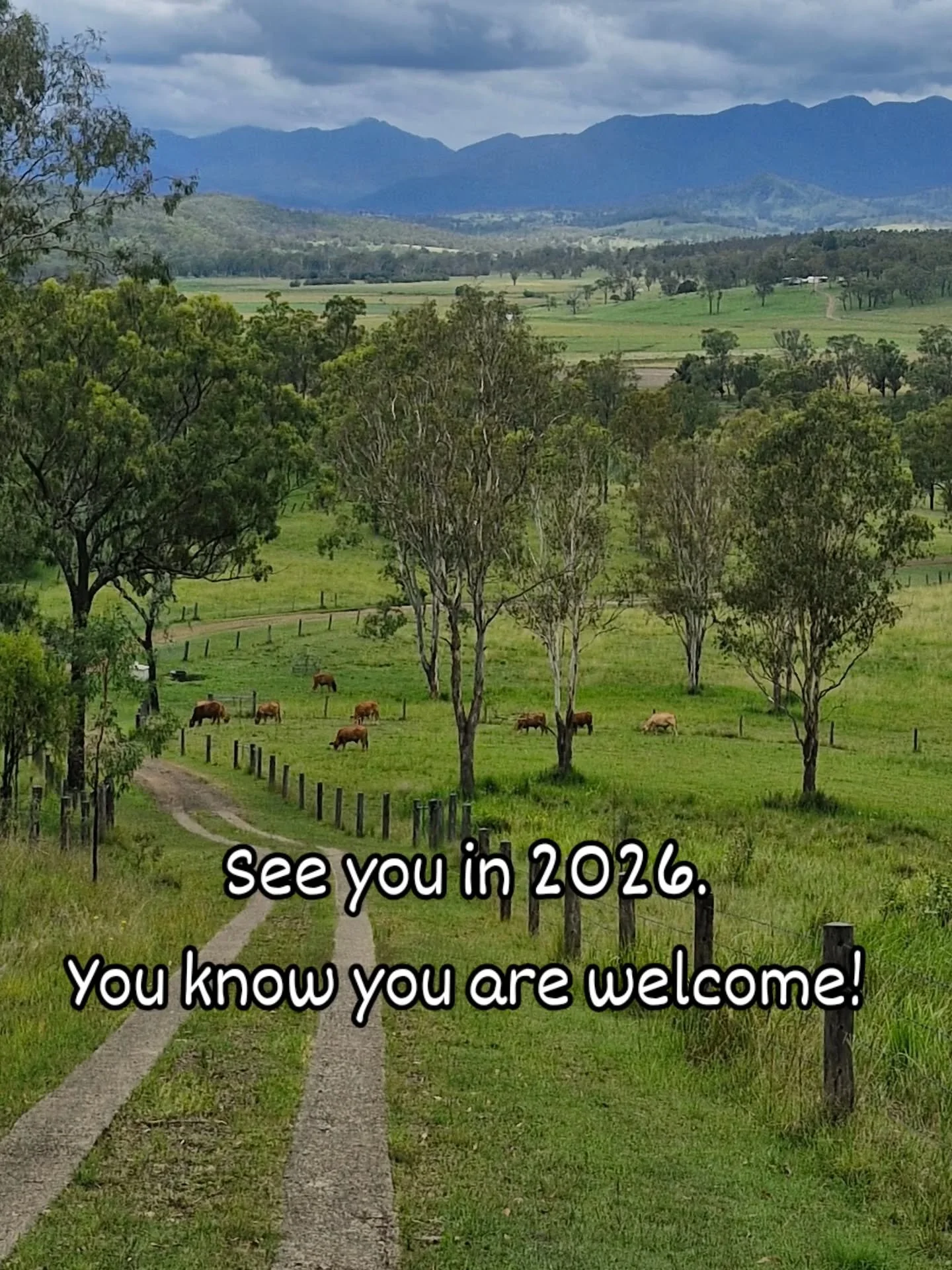We are looking forward to seeing return Guests and New Guests in 2026. The countryside in this corner of the Scenic Rim is not to be missed. Yes it's peaceful, it's quiet, it's abundant with wildlife, it's actually magical.  The mountains surrounds y