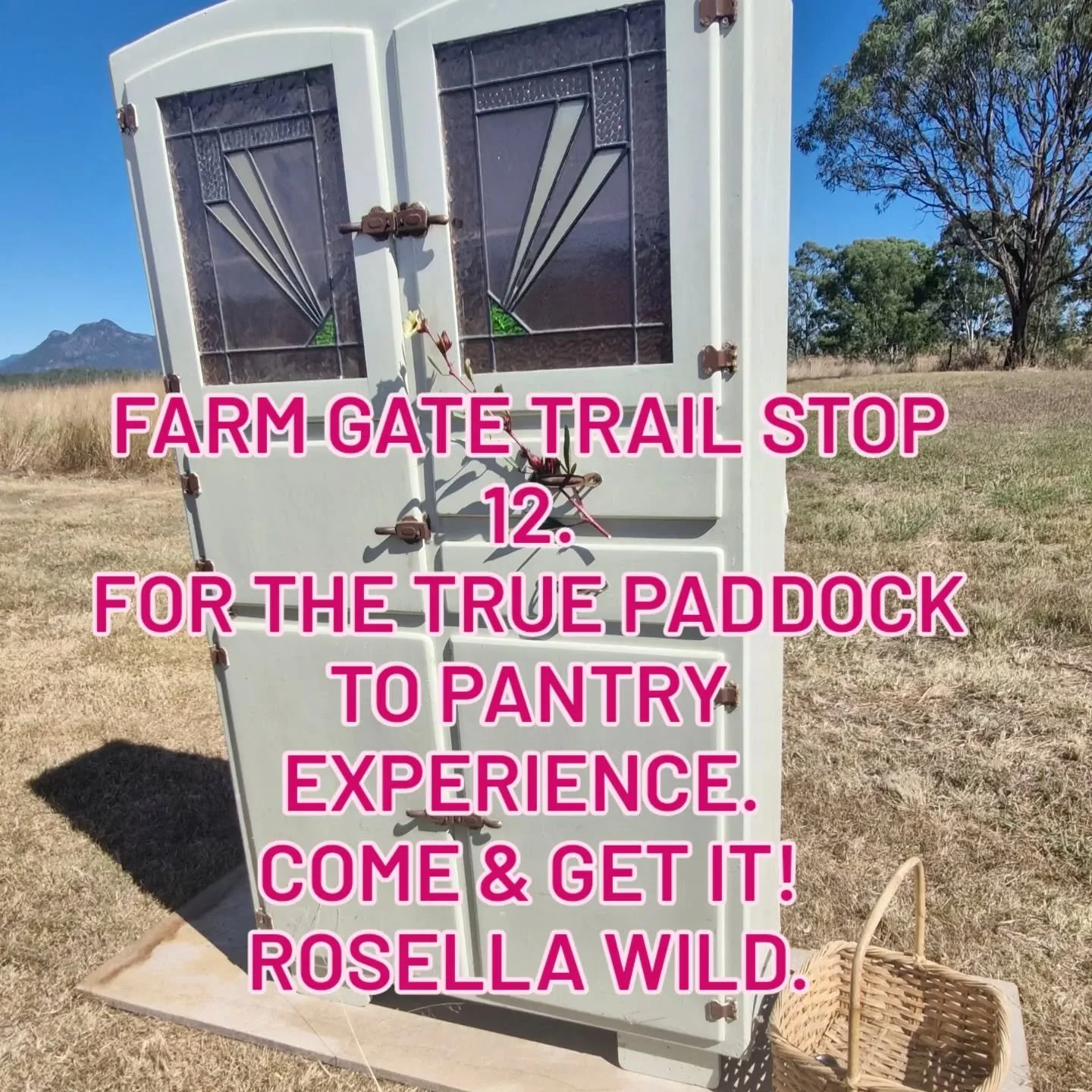 Scones, Hot Cross Buns with our signature Rosella Jam. Billy Tea &amp; Rosella Tea. Rosella Ice-cream. 
Tastings throughout the day.
Farm prices. Pets on leads are welcome. Bring your basket. 
#lifeonthefarm #Rosella #farmher