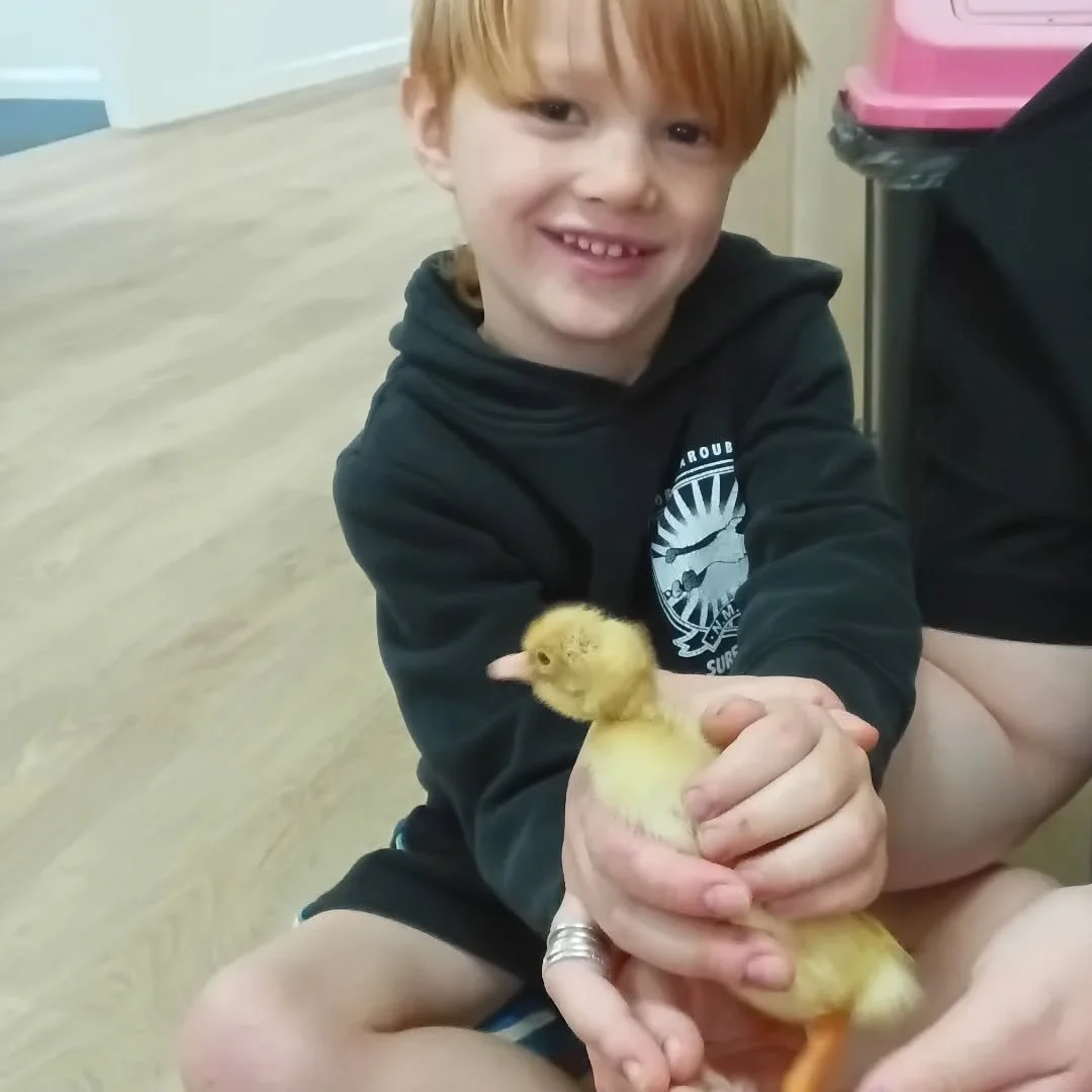 🌟&nbsp;The Cottage Children&rsquo;s Week Recap!&nbsp;🌟

A few weeks ago we celebrated an unforgettable Children&rsquo;s Week full of fun, learning, and creativity! Here&rsquo;s a peek at all the excitement:

🐣&nbsp;Monday:&nbsp;Our chicken and duc