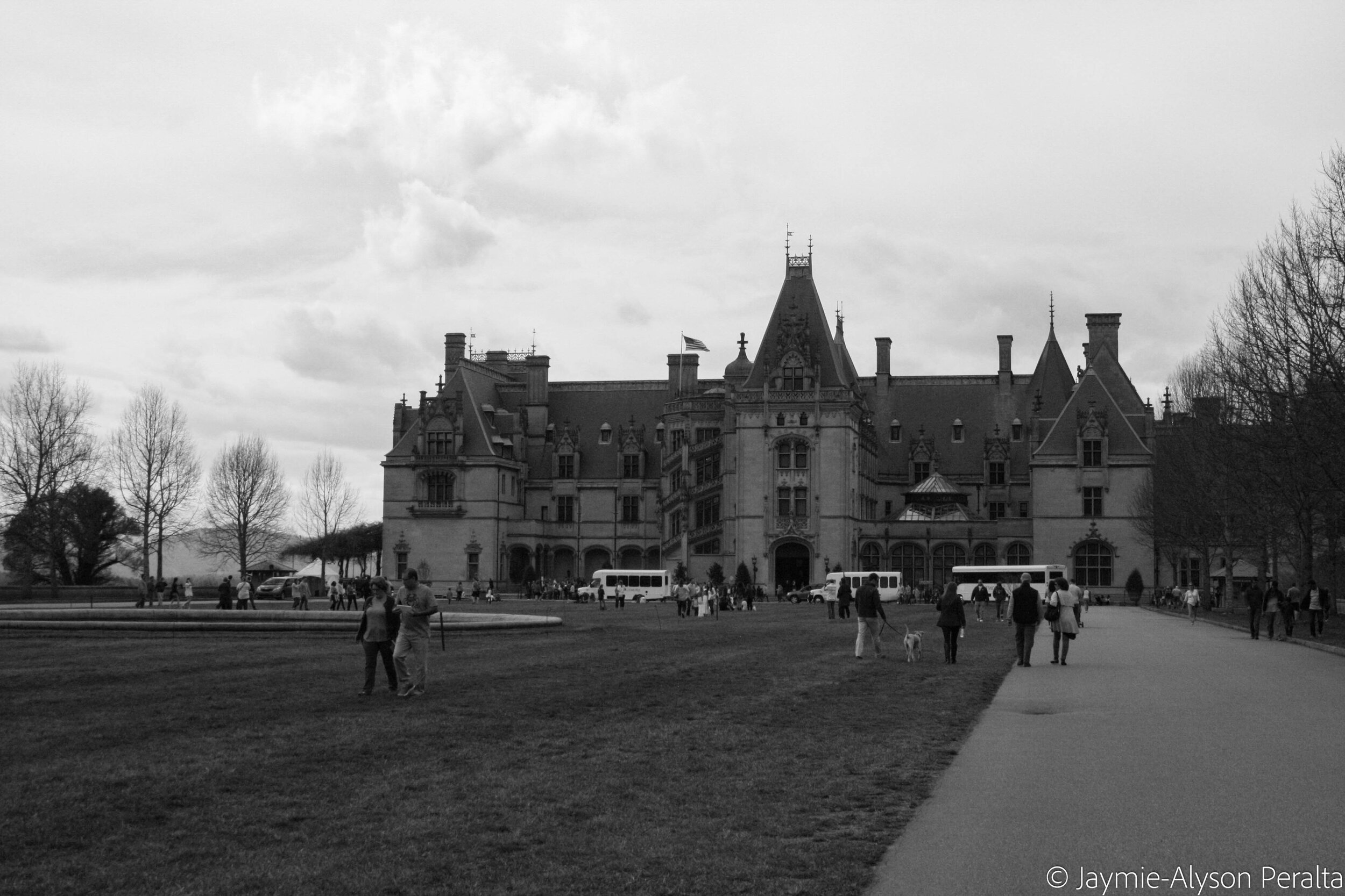 IMG_7932.jpg