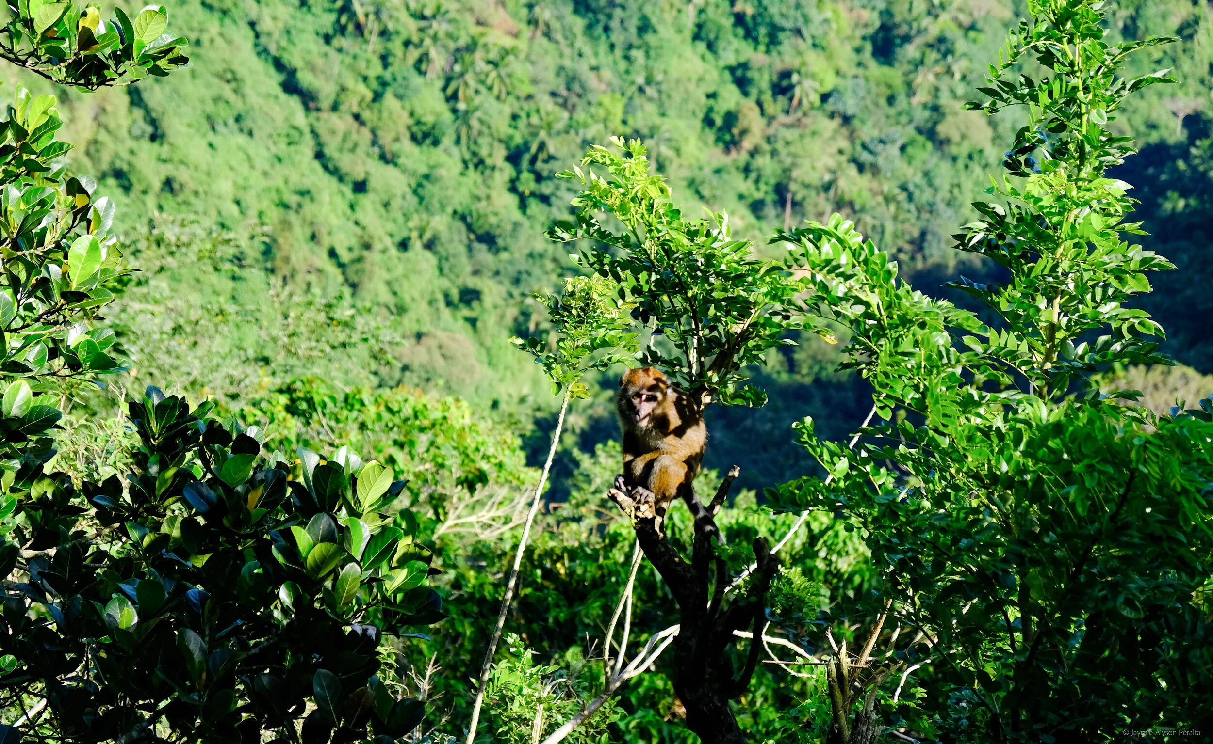 DSCF3683.jpg