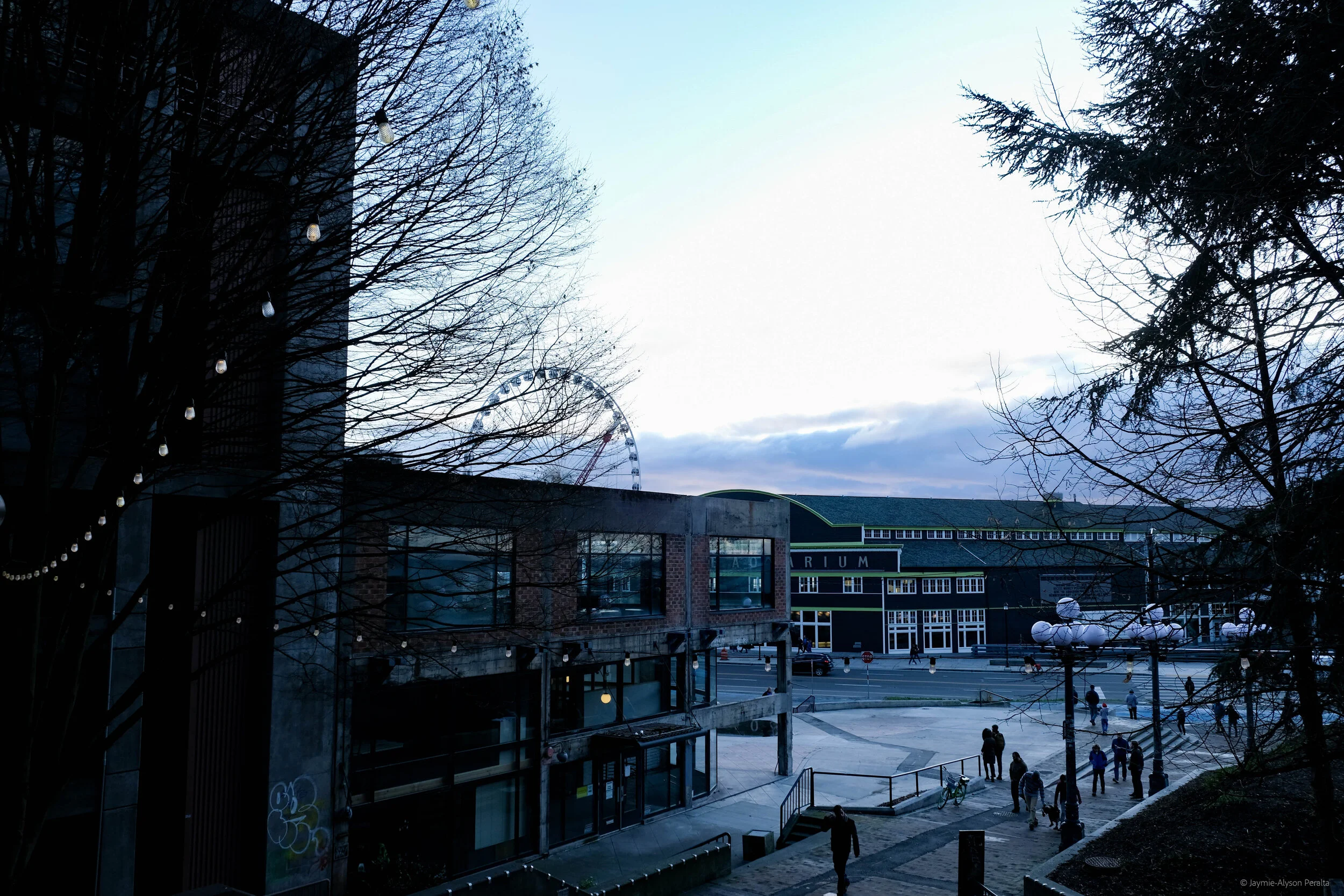 DSCF5316.jpg
