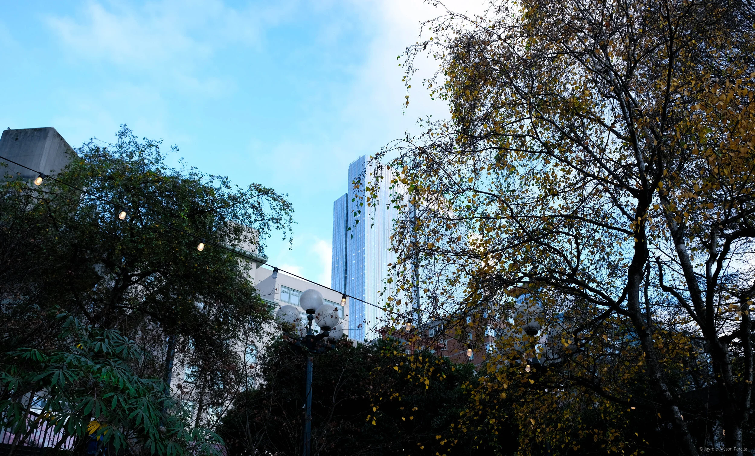 DSCF5315.jpg