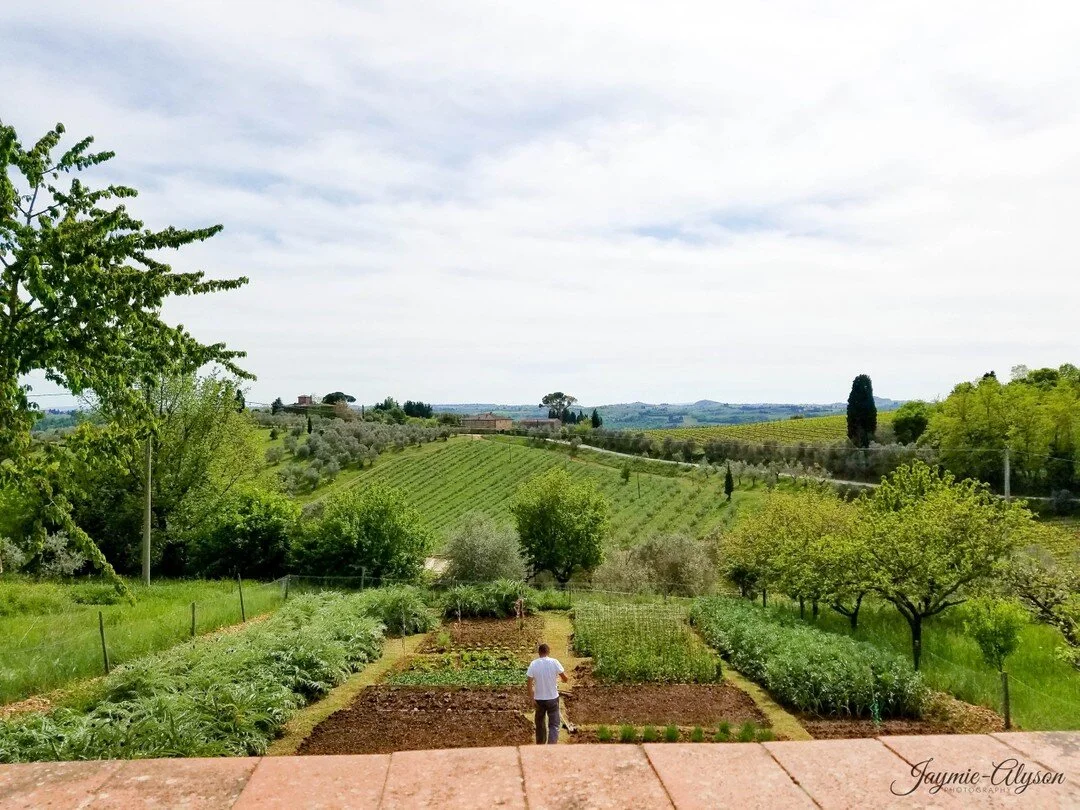After beautiful Sorrento, we take a long drive to Florence, but first, we stop at the luscious green Tuscany Hills for some wine tasting. Wine all day and everyday! 🍷⠀⠀⠀⠀⠀⠀⠀⠀⠀
.⠀⠀⠀⠀⠀⠀⠀⠀⠀
.⠀⠀⠀⠀⠀⠀⠀⠀⠀
Peep the new logo in the lower right hand corner! I