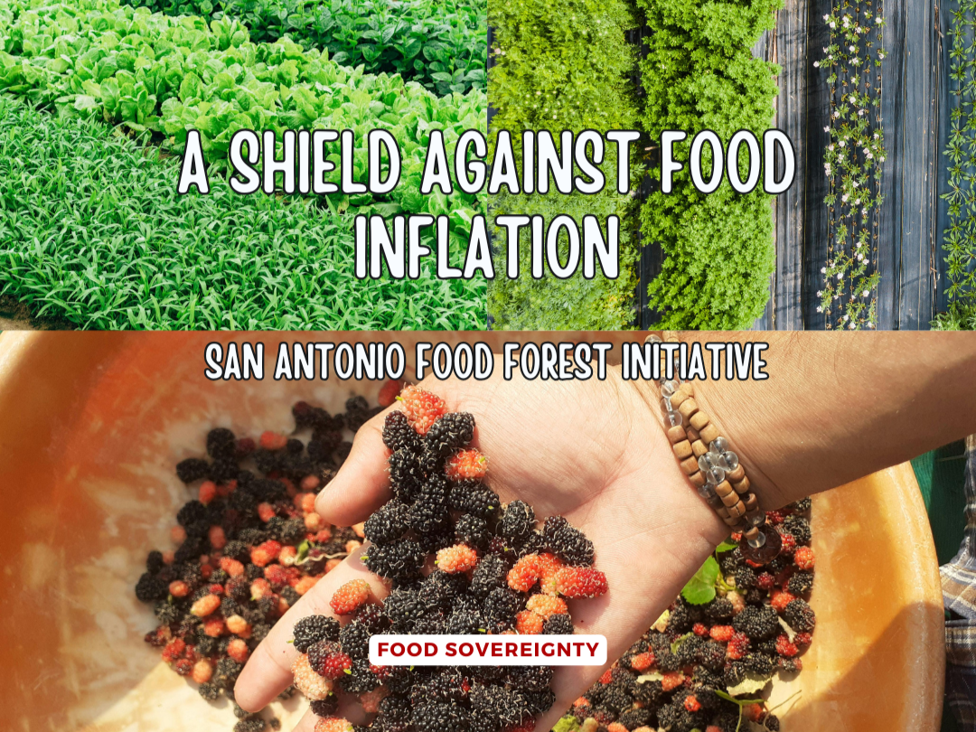How San Antonio can invest in its people
