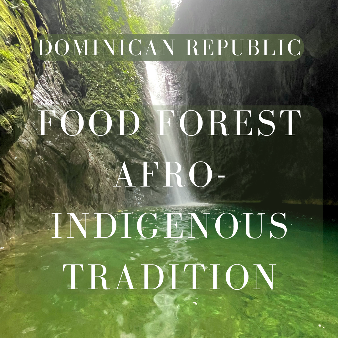 A lush green forest with a waterfall flowing into a river, surrounded by moss-covered rocks and tall trees.