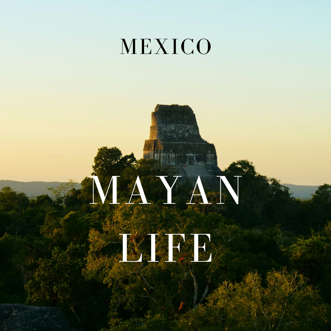 Ancient Mayan cities