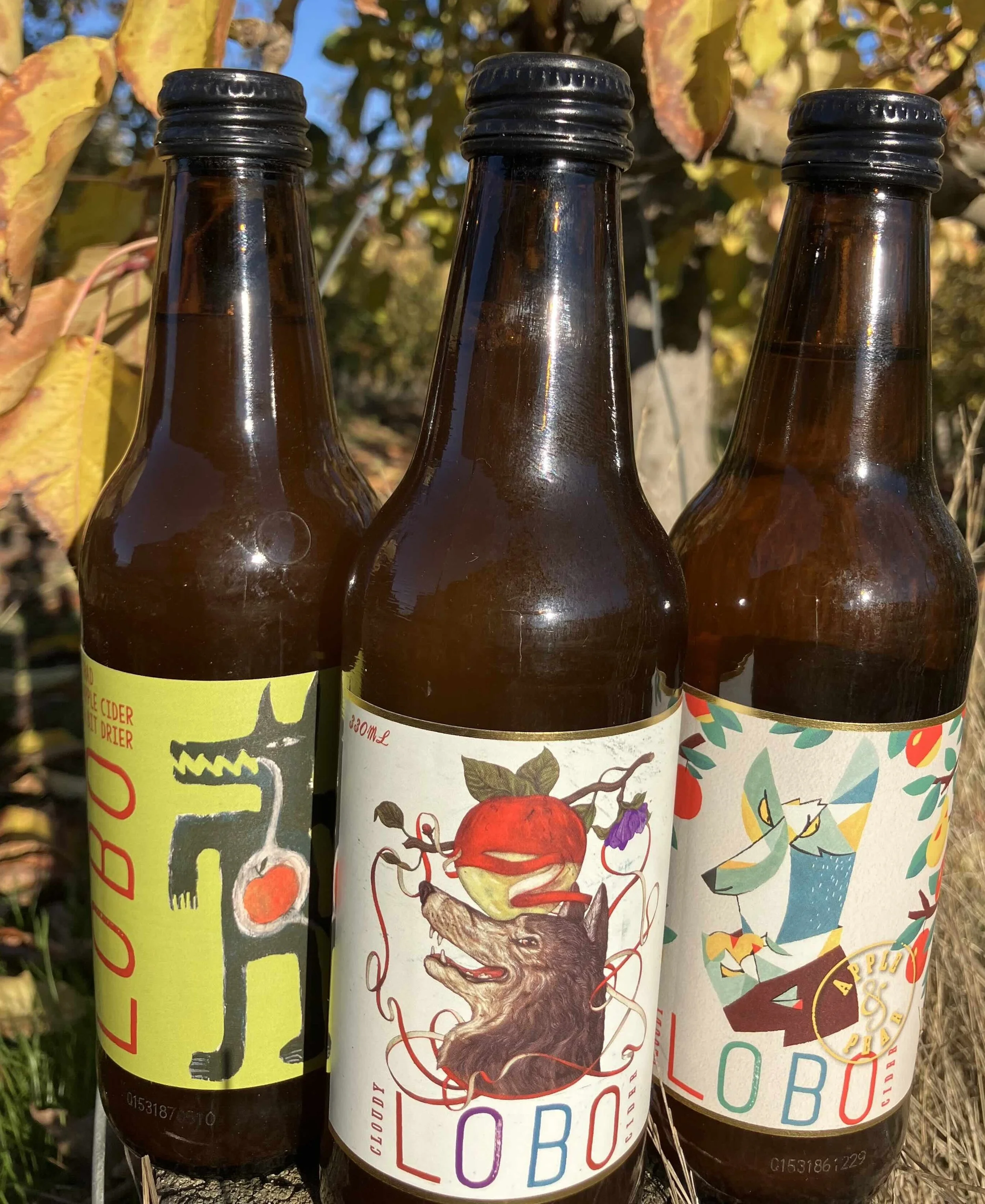Mixed 3 bottles.jpg