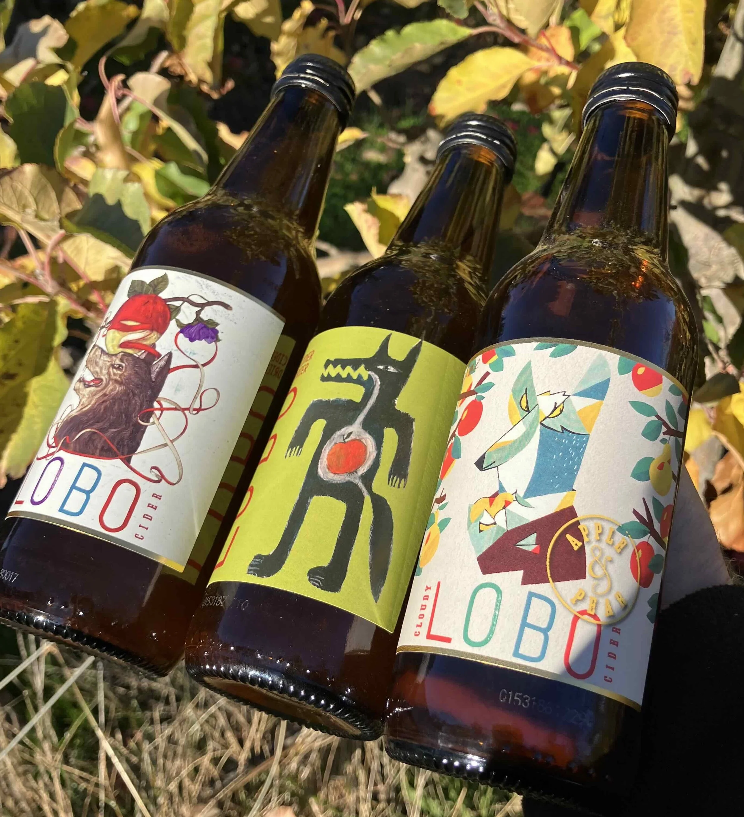 LOBO Mixed Cider Case