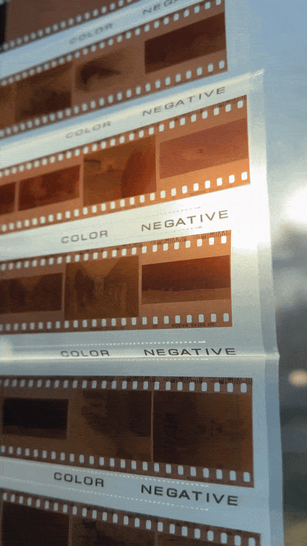 filmstrips.gif