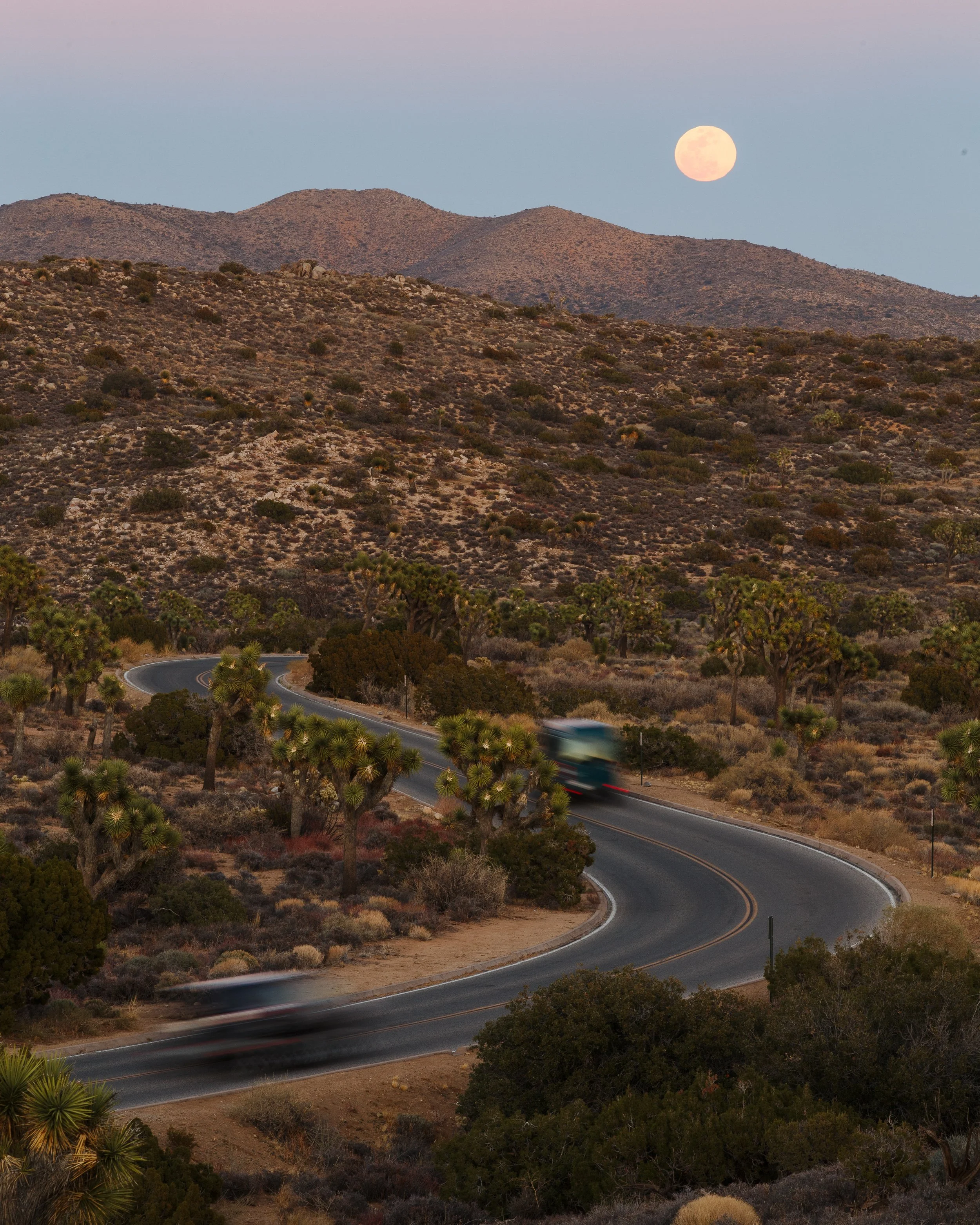 A winding desert road with two vehicles, surrounded by Joshua trees and shrubs, under a pastel sky with a full moon.