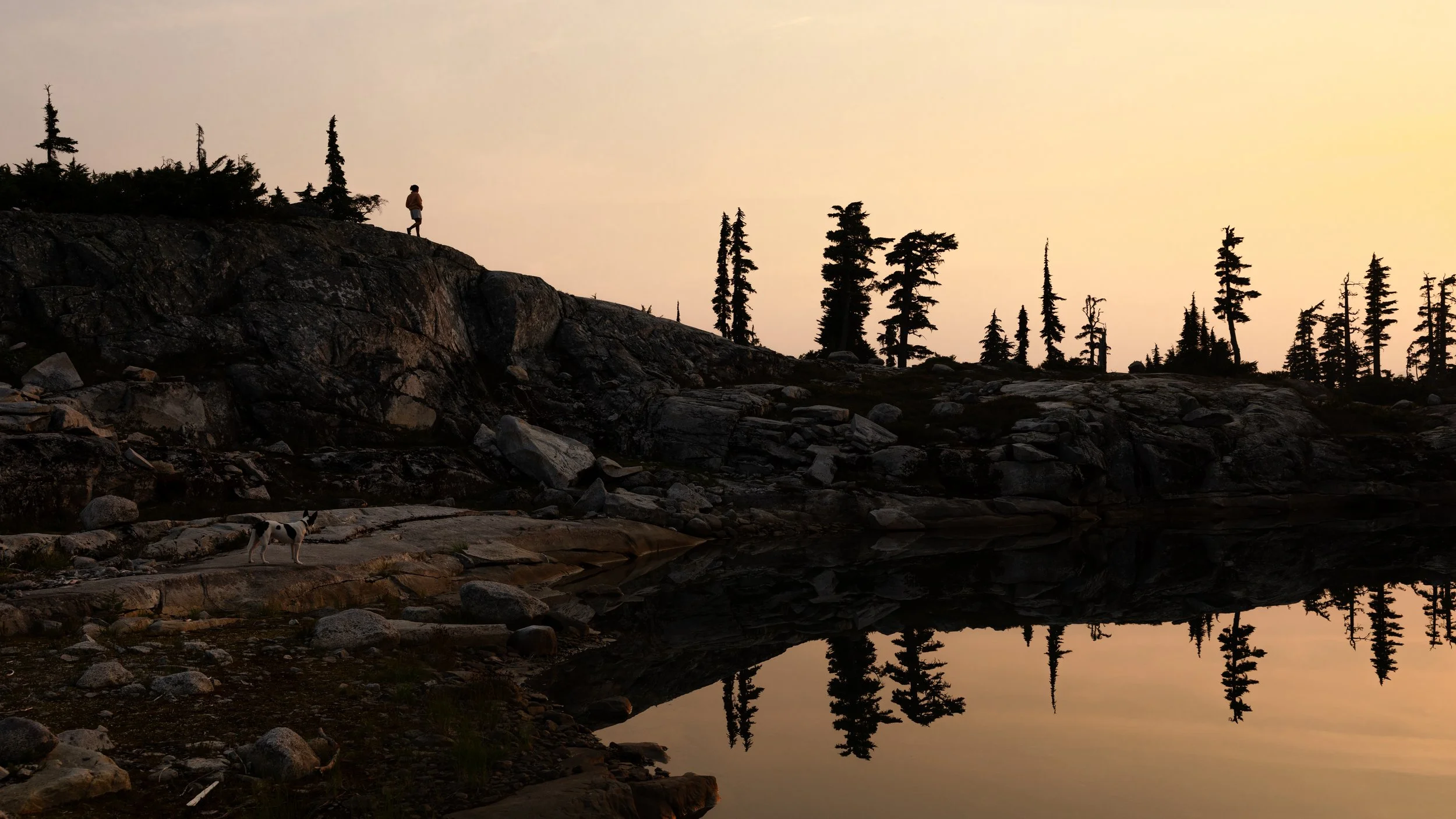 Silhouette of a person and a dog on rocky terrain near a lake at sunset, with tall pine trees and their reflections in the water.