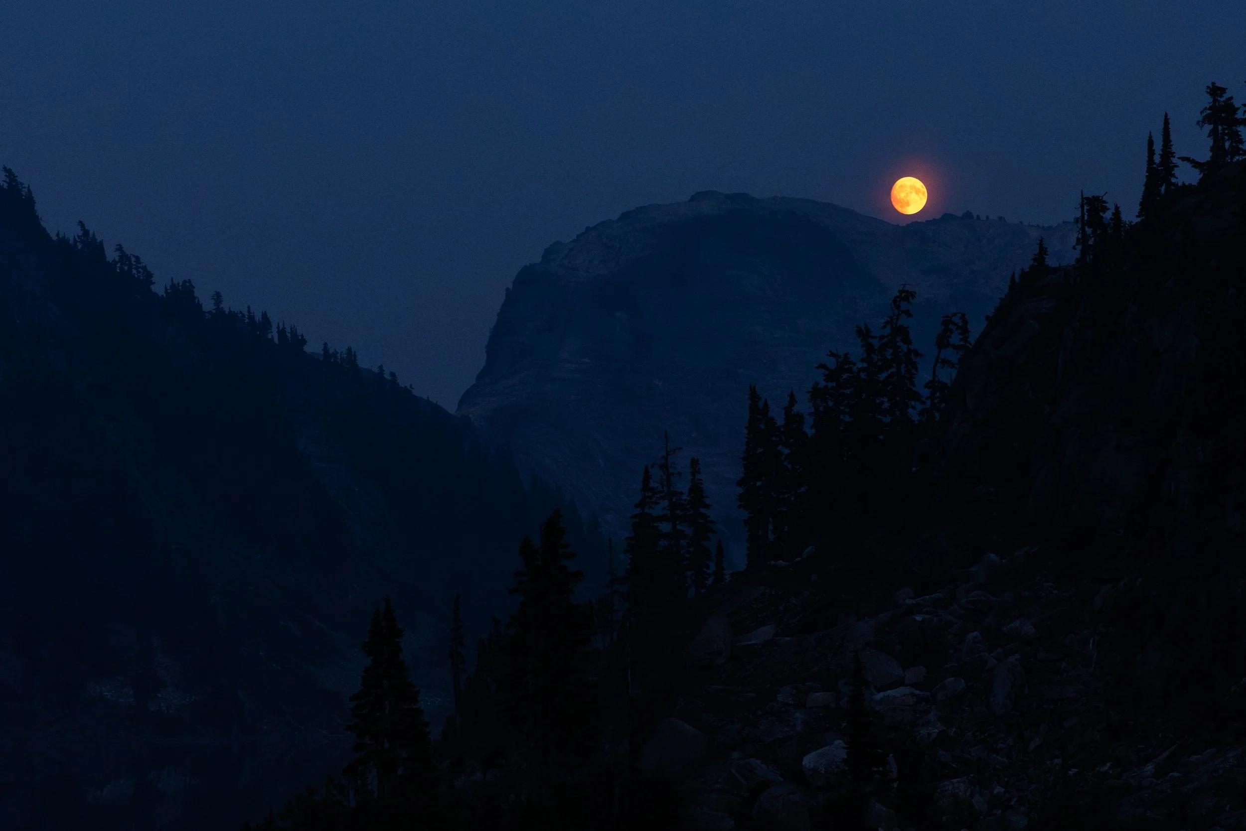 Nighttime mountain landscape with dark silhouetted trees, rocky terrain, and a bright orange full moon in the sky.