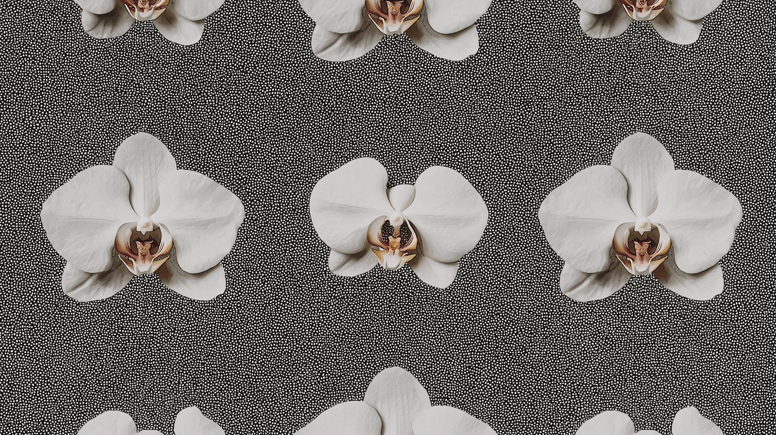 lucasmelb_httpss.mj.runRwqfxMumnkg_pattern_of_white_orchid_flow_9d8810fa-214a-4ae7-8c6c-24144ab8968c (1).png