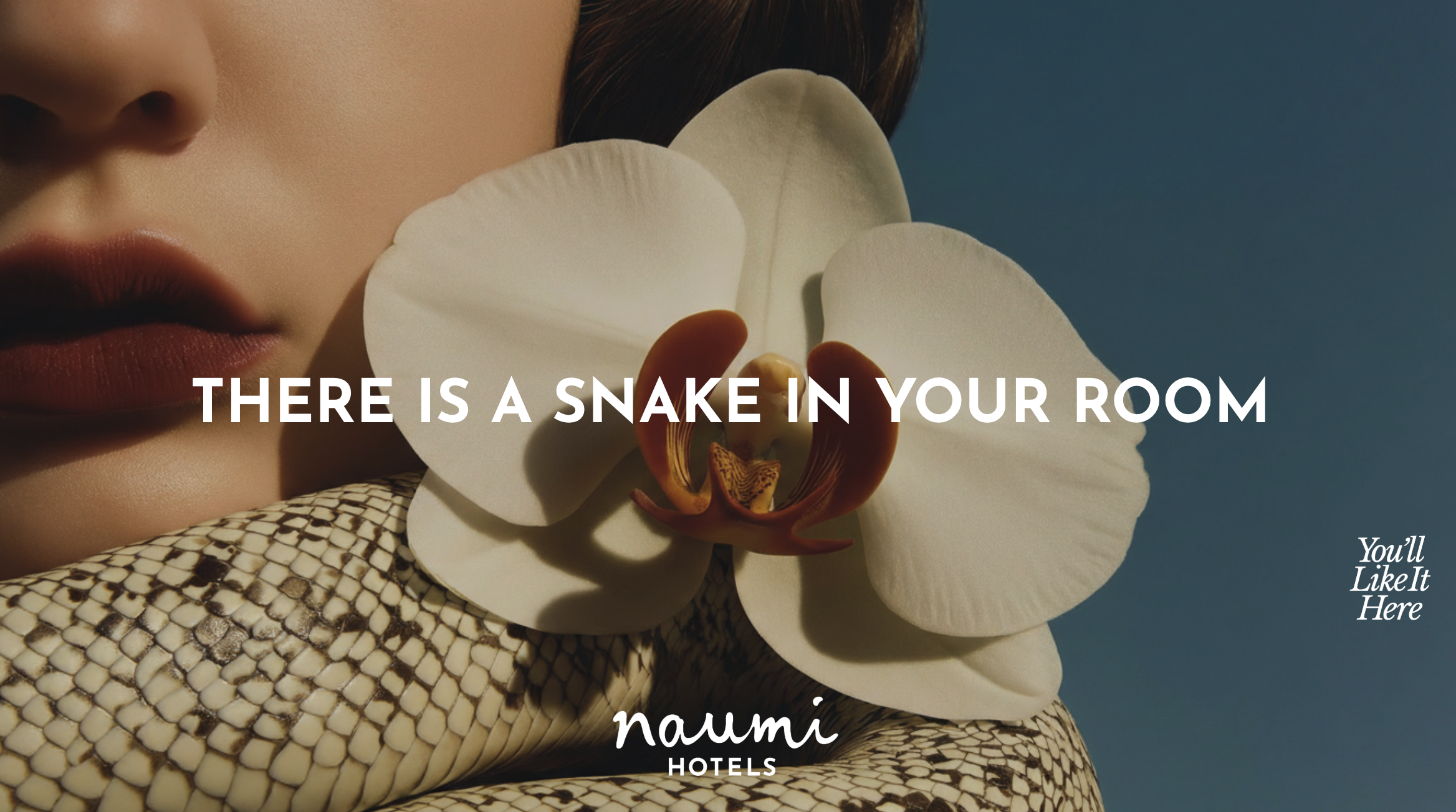 Screenshot 2026-02-10 at 8.20.15 am.png