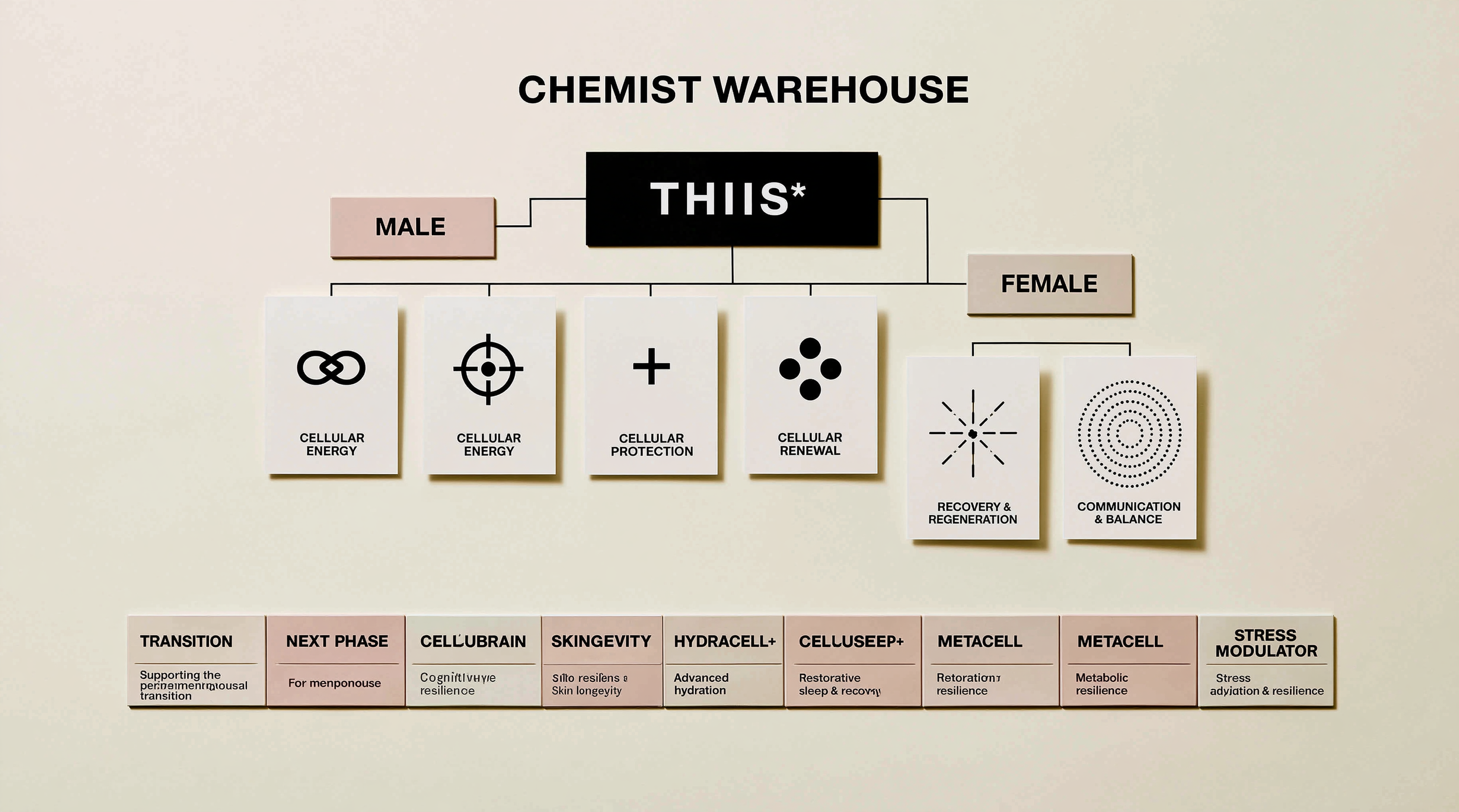 lucasmelb_a_clean_minimalist_chart_on_a_light_cream_backgroun_886ef490-e511-48f1-8fb7-87c47eae6933_0.png