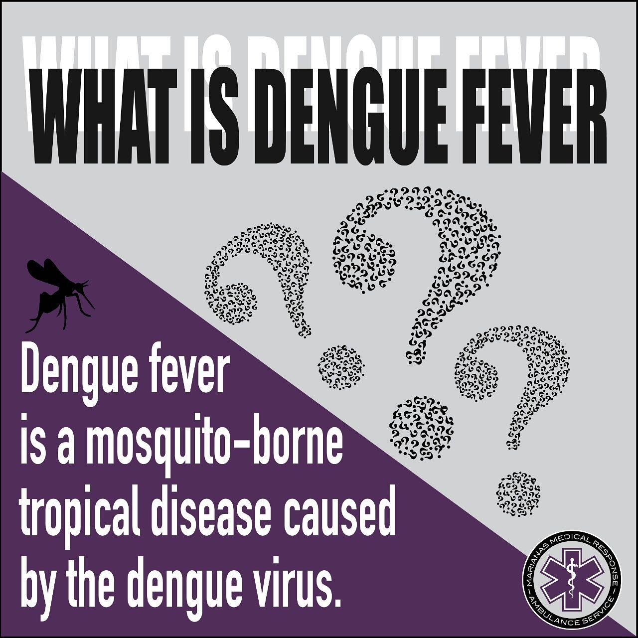 Fight the bite! Be aware and stay safe Guam. 
SWIPE ➡️
#dengue #denguefever #fightthebite #mmrguam #guam