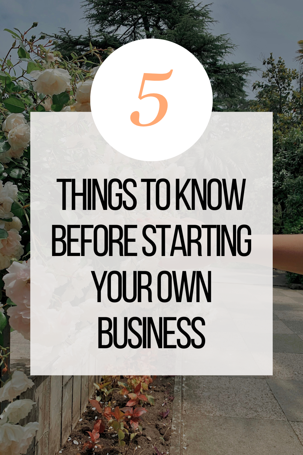 5 Things to Know Before Starting Your Own Business — elisajenks