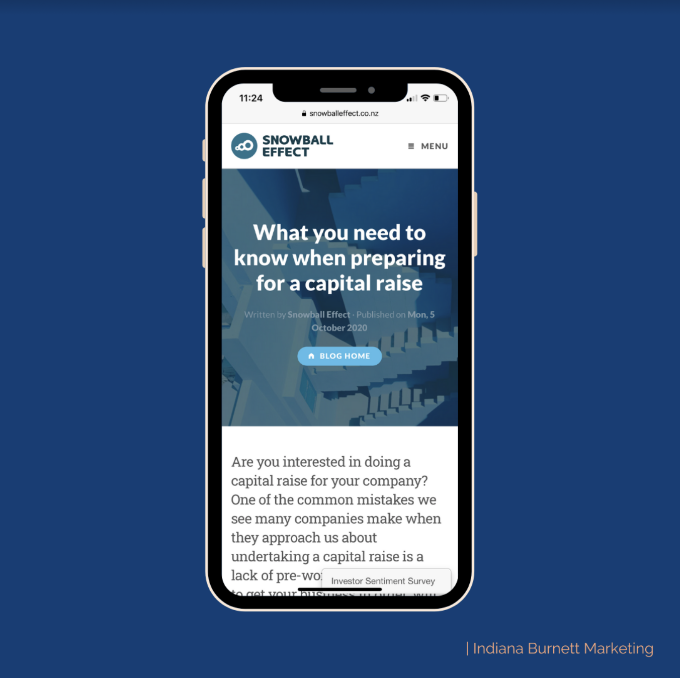 BLOG WRITING: An article (which is part of an ongoing content series on investing and raising capital) that I wrote for my client Snowball Effect. 
