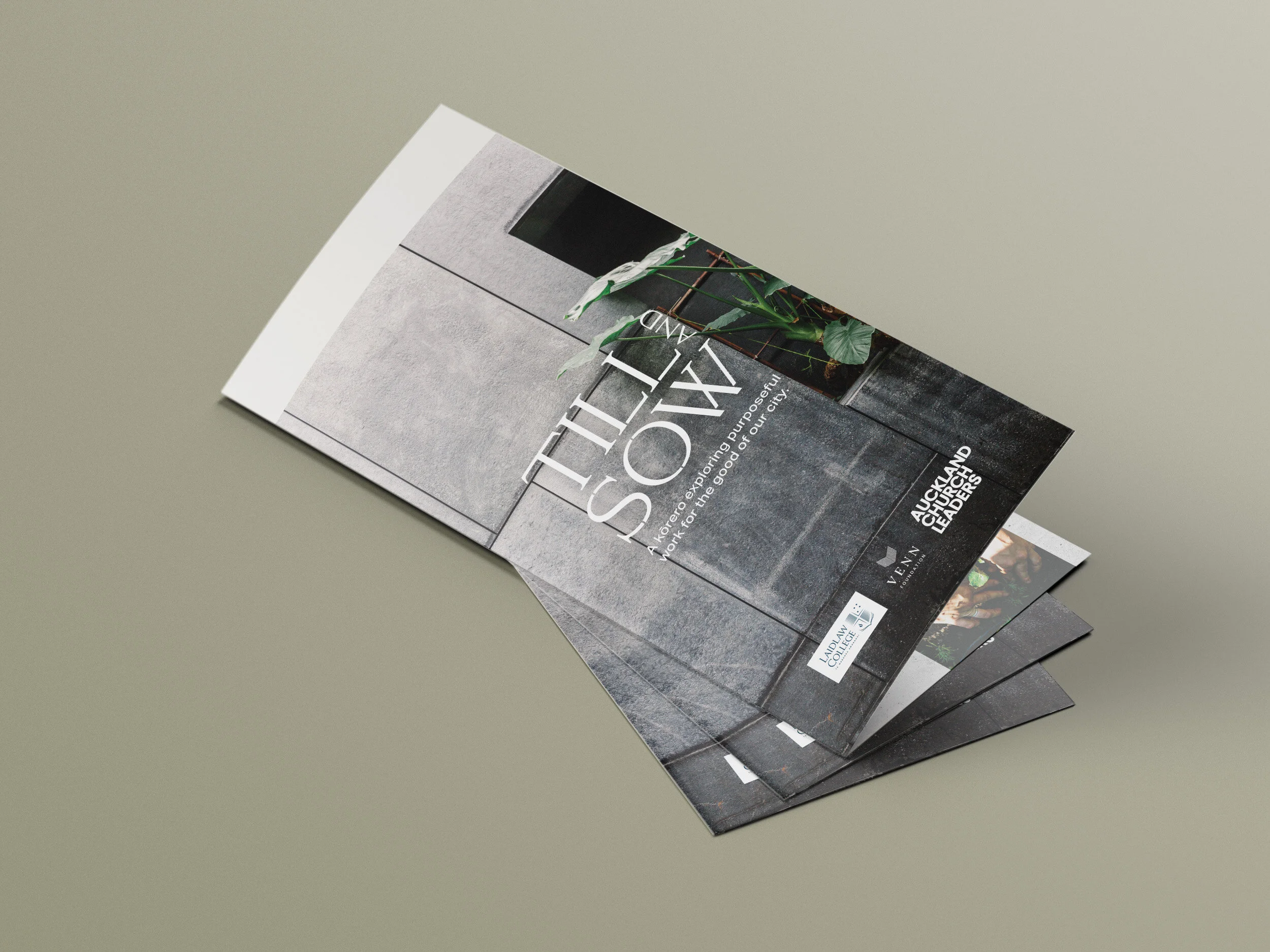 Till And Sow | Brochure, email, presentation slides, social media tiles
