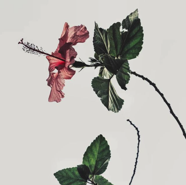 Malaysia Independence Day 2019