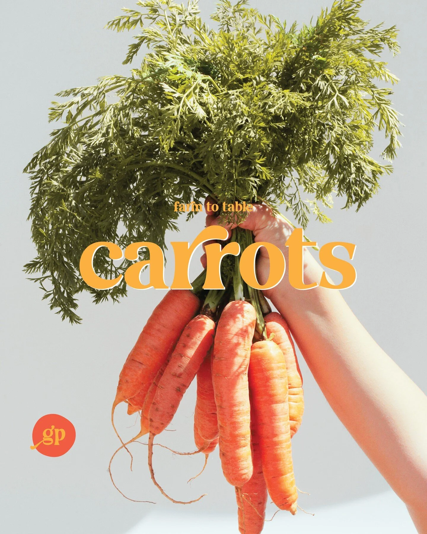 Throwing into the mix some recipe cards for Ginger's Pantry to accompany each grocery bag that gets delivered! 🥕🥦

Conceptual brief by @hellotayloramy
.
.
.
#GraphicDesign #BrandingDesign #BrandInspiration #BrandIdentity #DesignBrief #LogoDesign